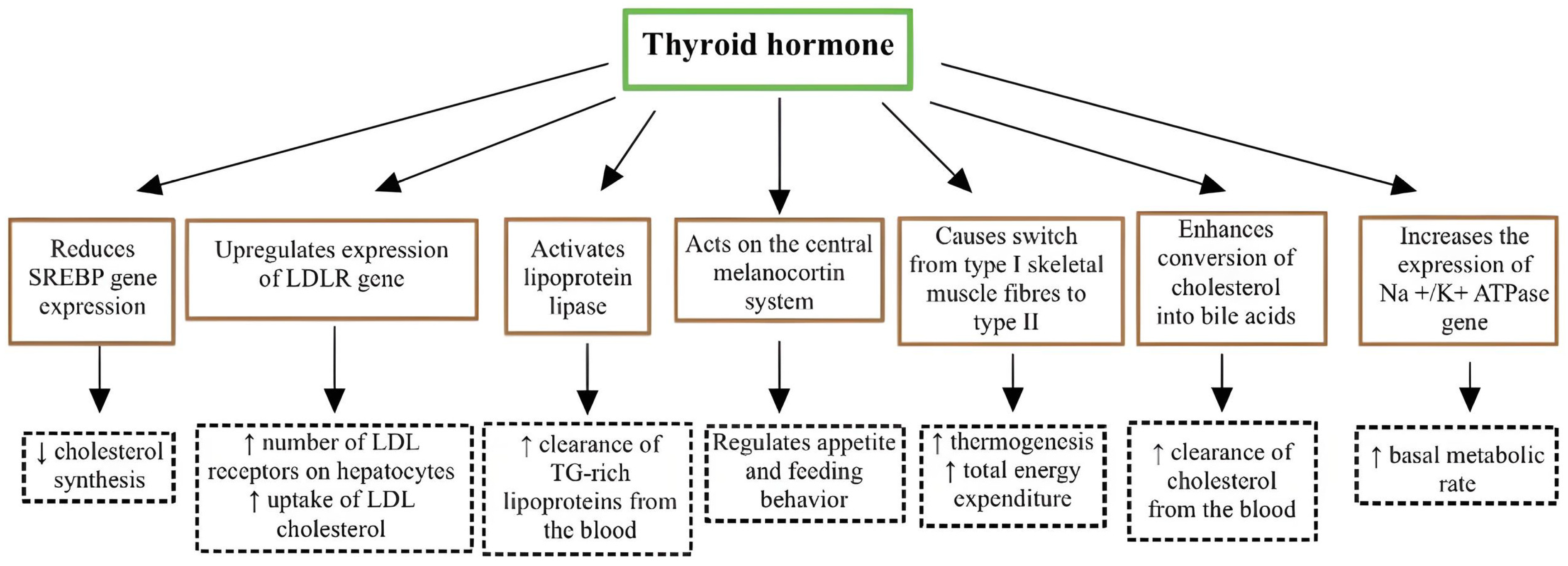 Lipidology 01 00008 g001