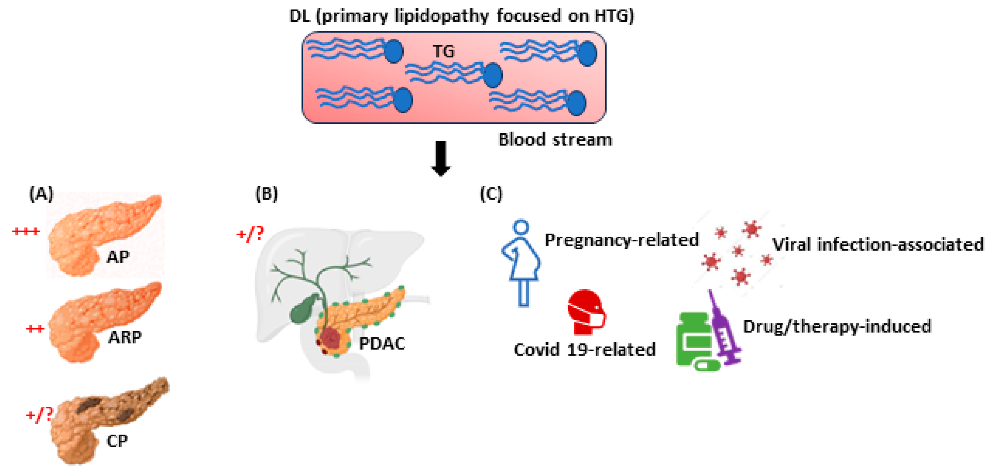 Lipidology 01 00009 g001