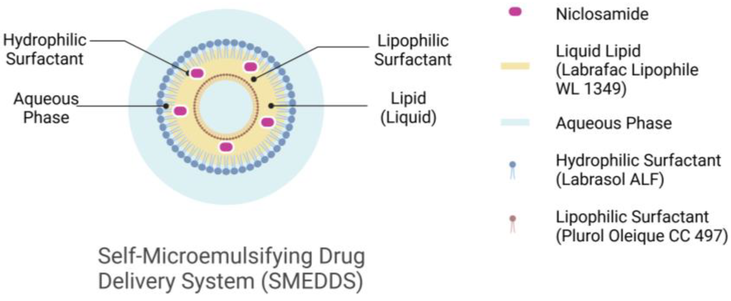 Lipidology 01 00010 g002