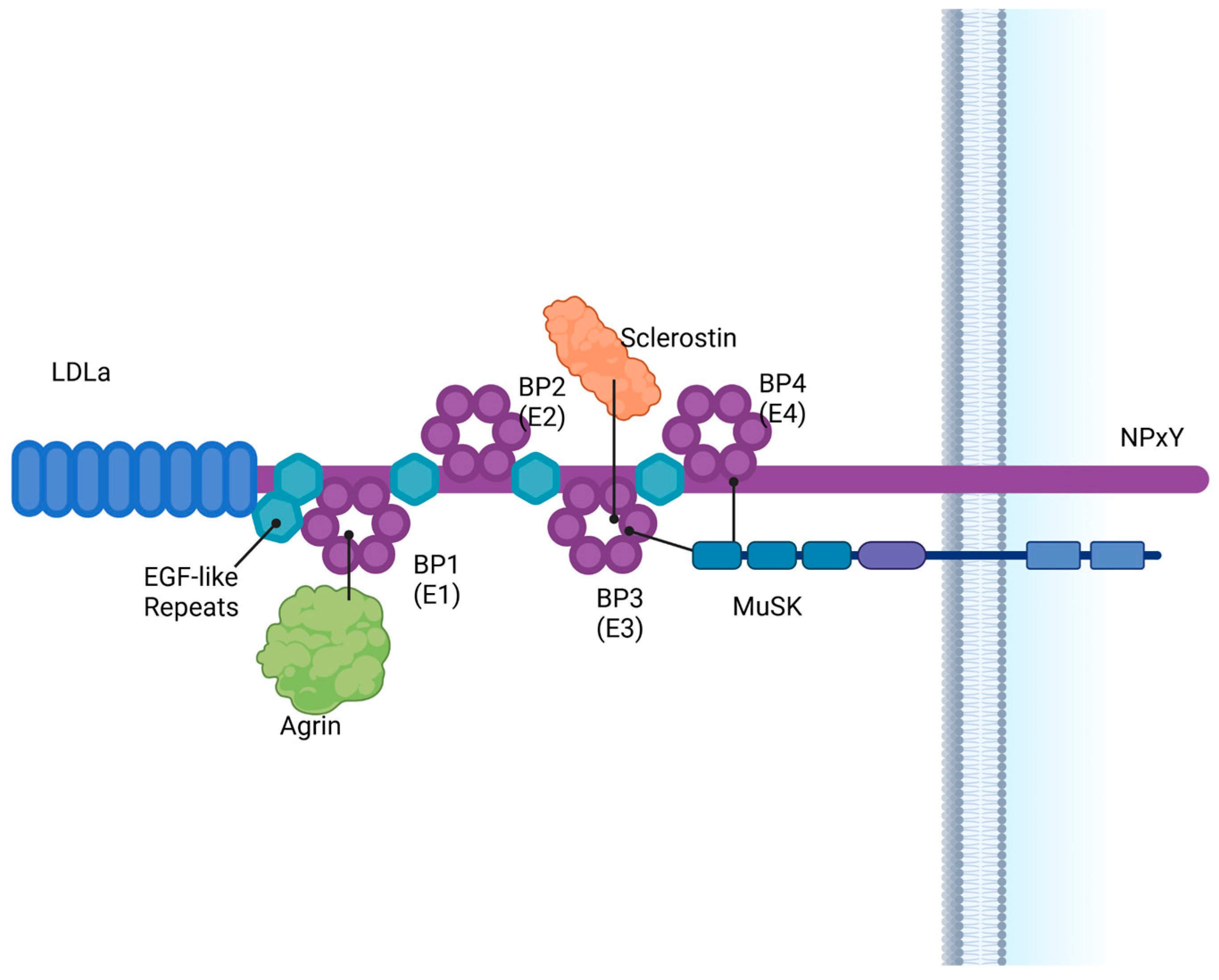 Lipidology 02 00003 g001
