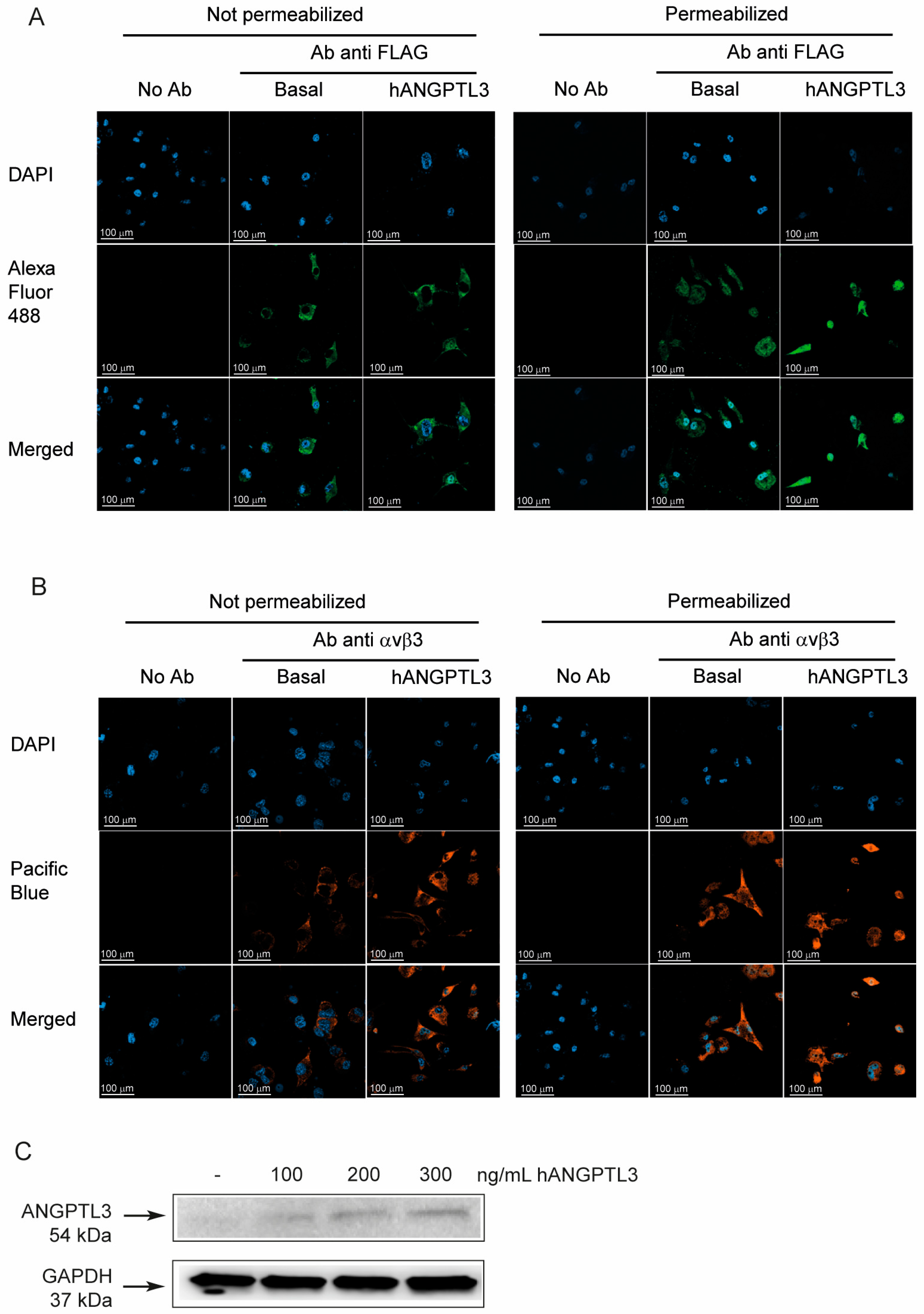 Lipidology 02 00014 g002