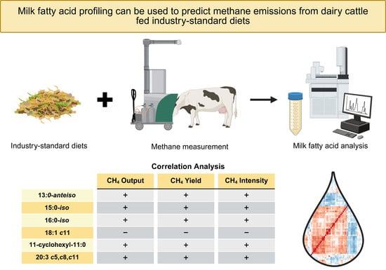 Heatmap summary of Spearman’s correlation coefficients between milk fatty acids (% of total fatty acid methyl esters identified) and methane output (O; g/d), yield (Y; g/kg dry matter intake), and intensity (I; g/kg energy-corrected milk). Each square represents the result of a pair of variables. The red values indicate a positive relationship between two variables, while the blue values indicate an inverse relationship between variables. Beige colors indicate weak or no linear correlation. * Denotes p-values < 0.05. ** Denotes p-values < 0.01. *** Denotes p-values < 0.001. BCFAs, branched-chain fatty acids; MUFAs, monounsaturated fatty acids; OBCFAs, odd- and branched-chain fatty acids; OCFAs, odd-chain fatty acids; PUFAs, polyunsaturated fatty acids; SFAs, saturated fatty acids; SMCFAs, short- and medium-chain fatty acids; VLCFAs, very-long-chain fatty acids.