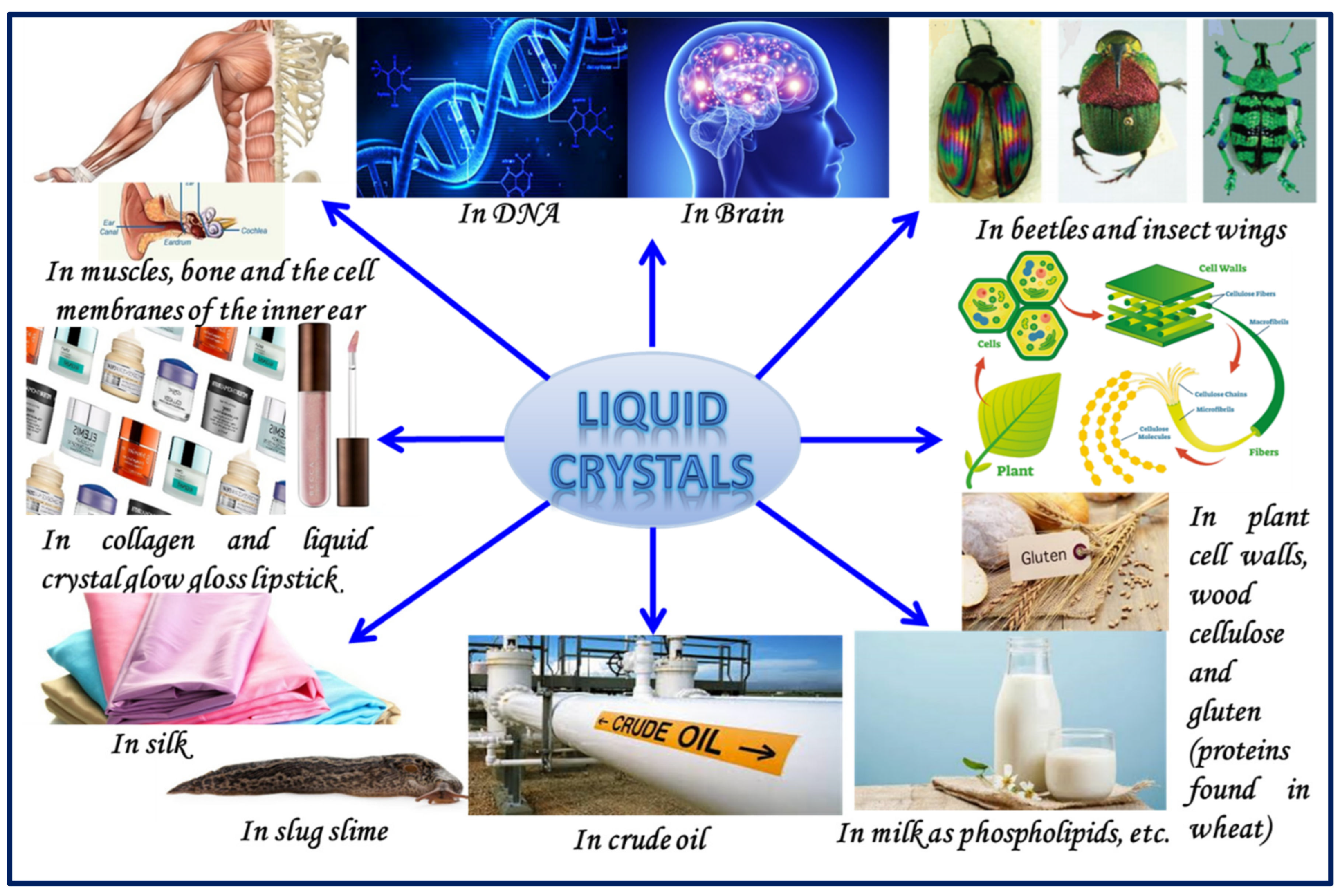Liquids 02 00005 g001