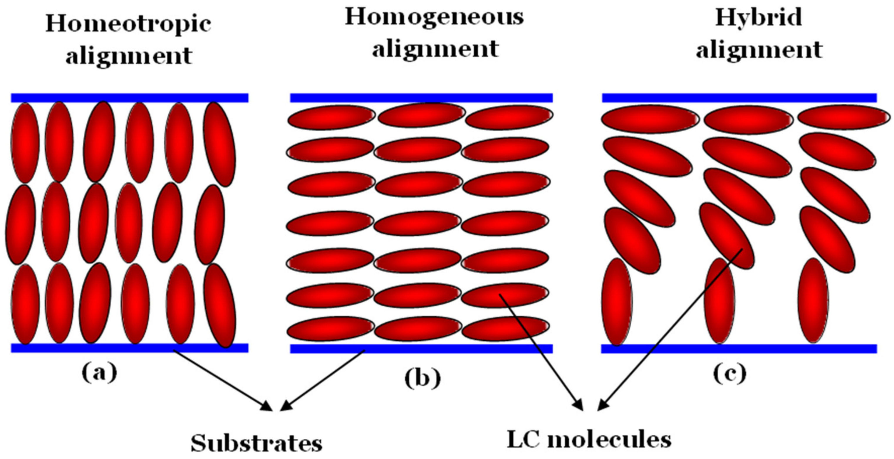 Liquids 02 00005 g003
