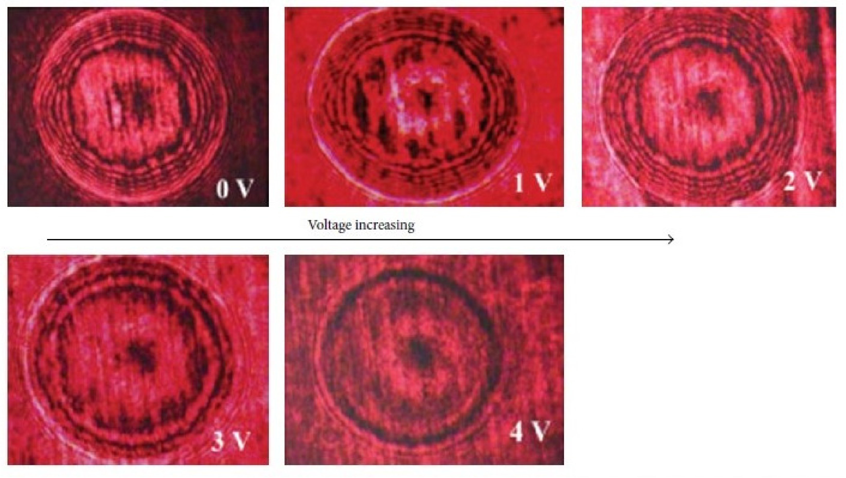 Liquids 02 00005 g012