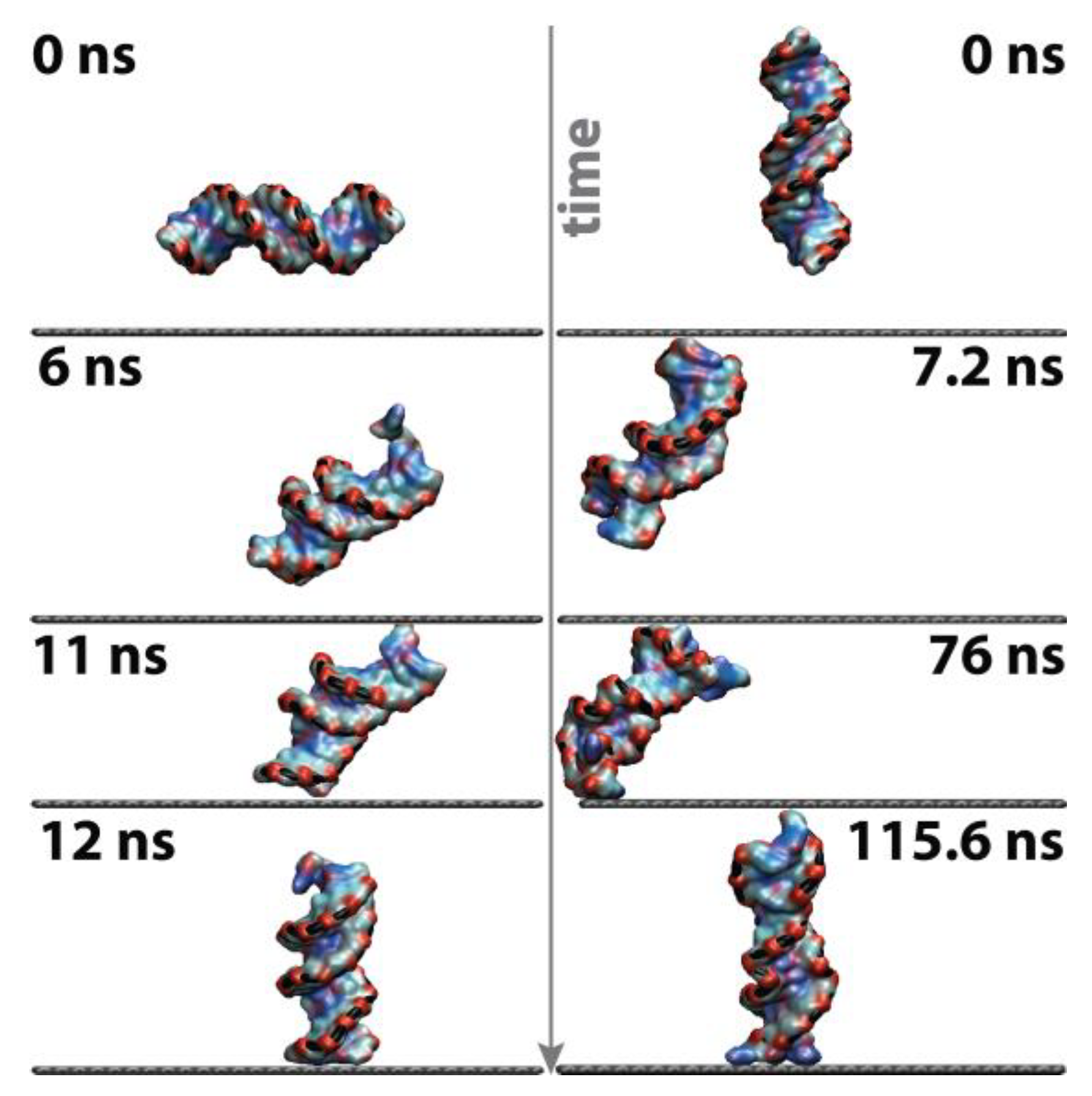 Liquids 03 00013 g003