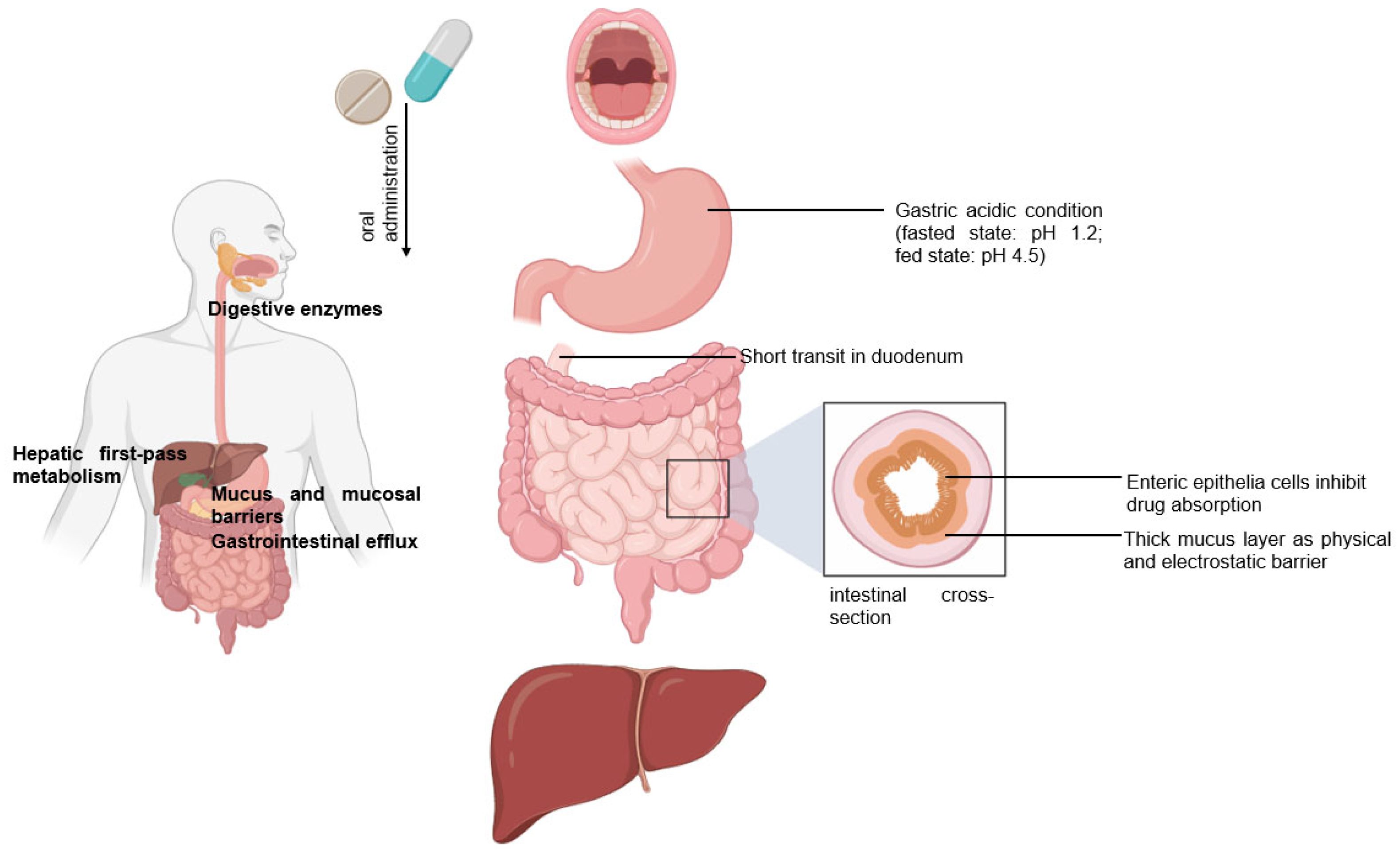 Liquids 03 00029 g001