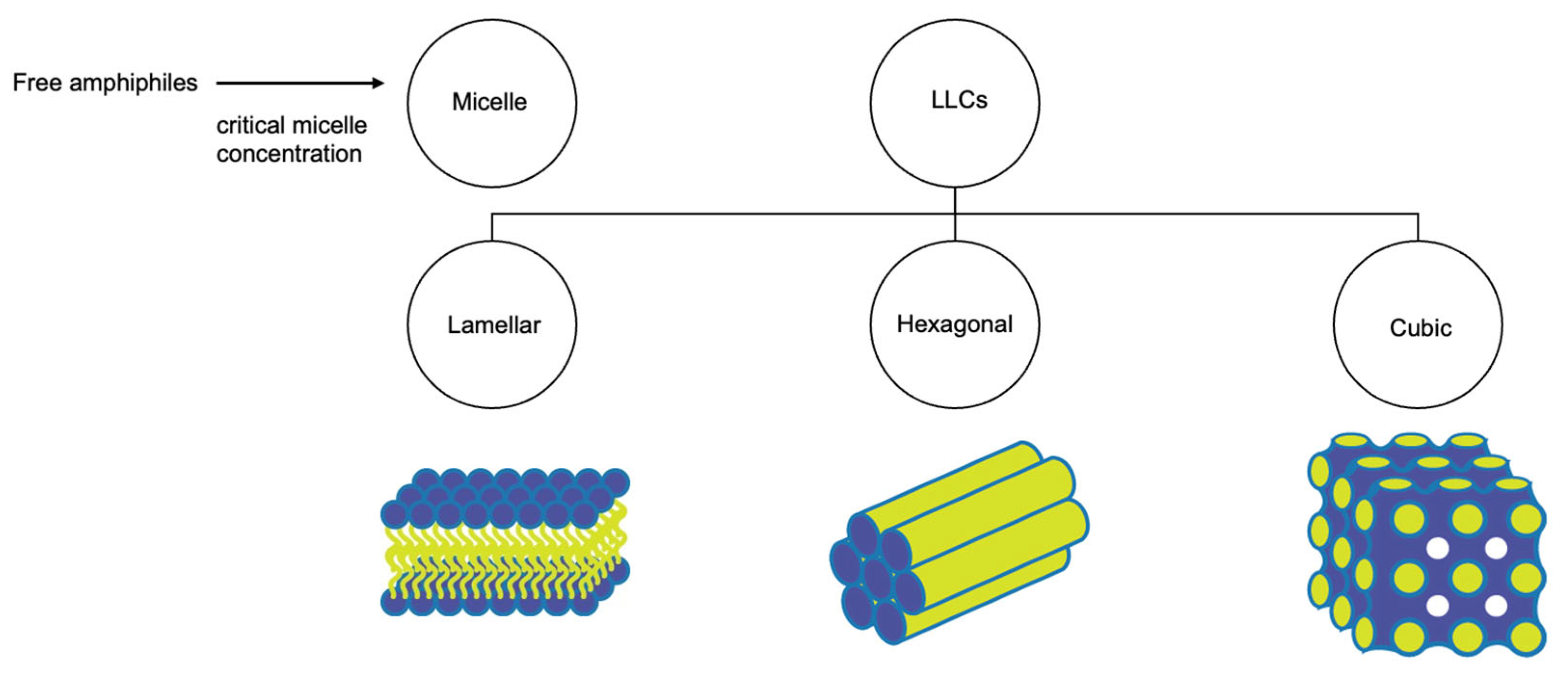 Liquids 03 00029 g003