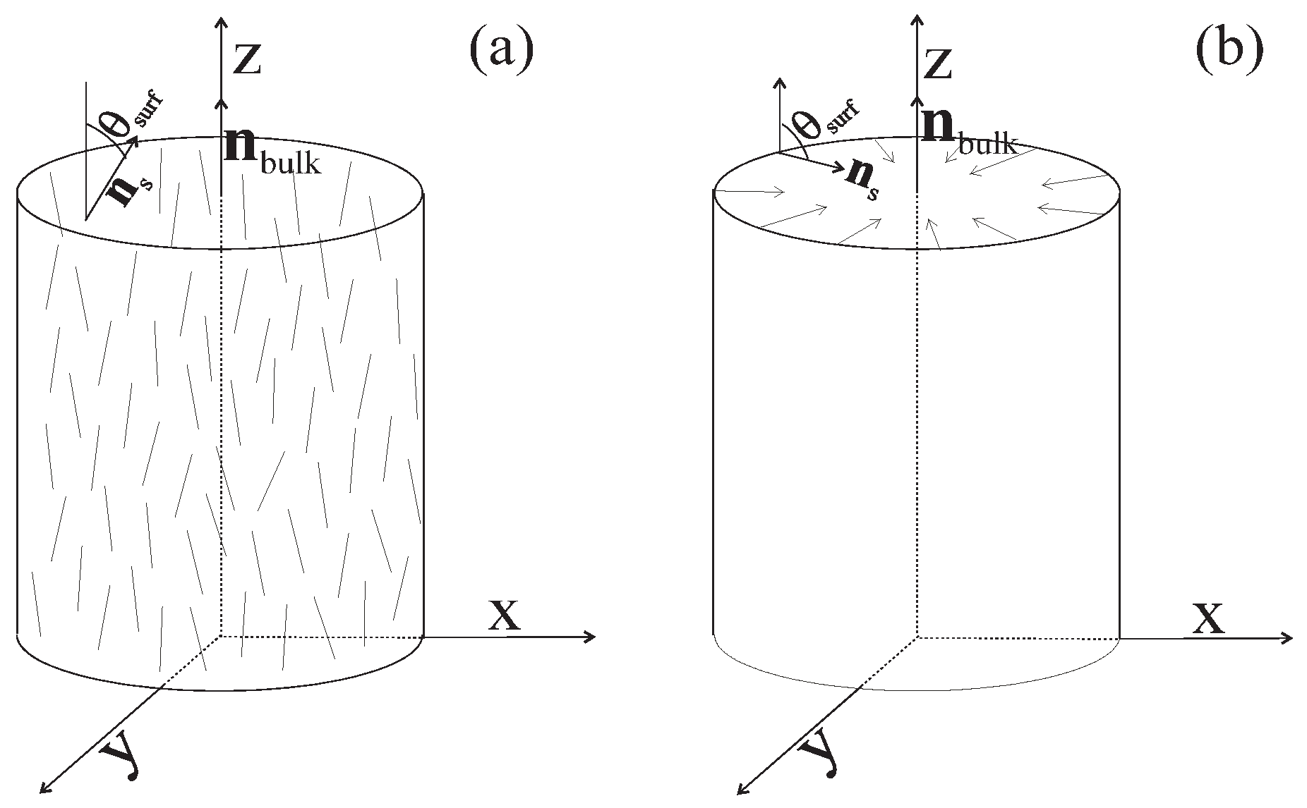 Liquids 05 00007 g001
