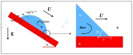 Liquids 05 00029 g002