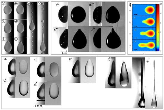 Liquids 05 00029 g004