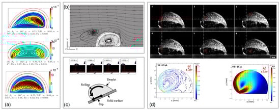 Liquids 05 00029 g005