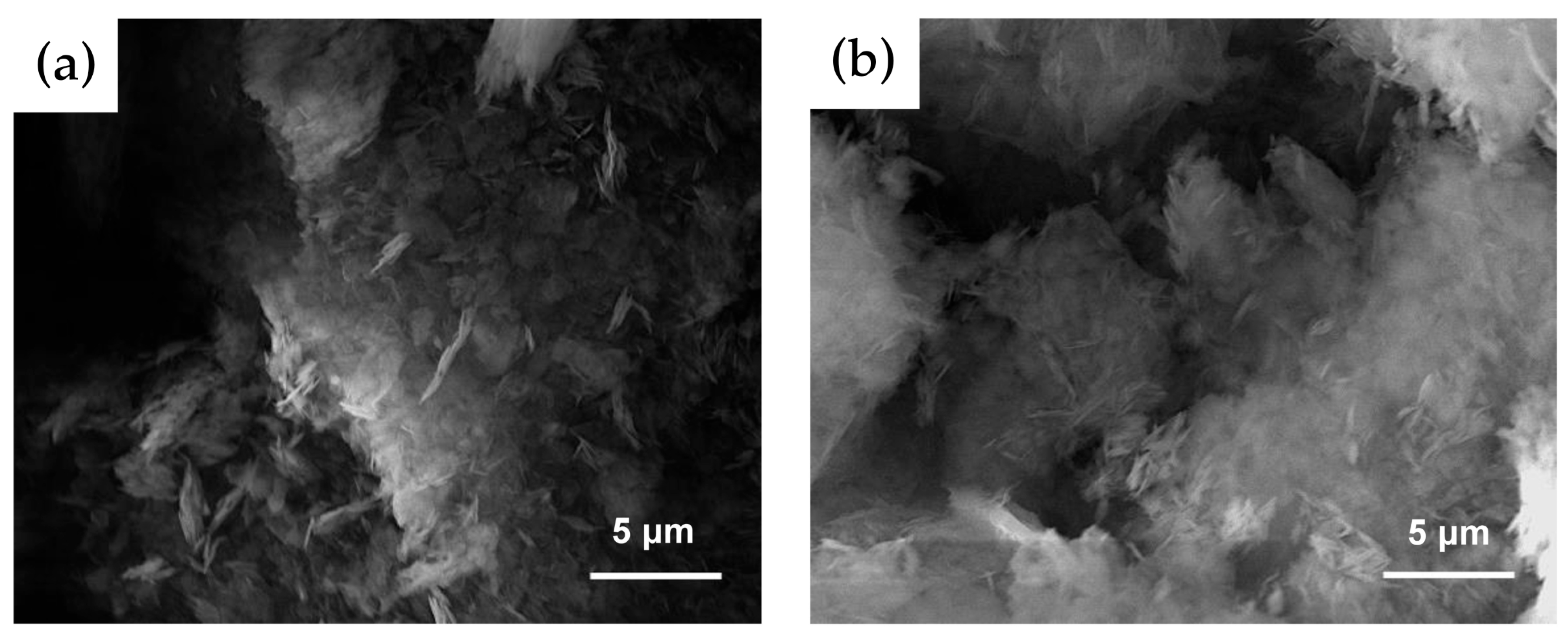 Liquids 05 00031 g002