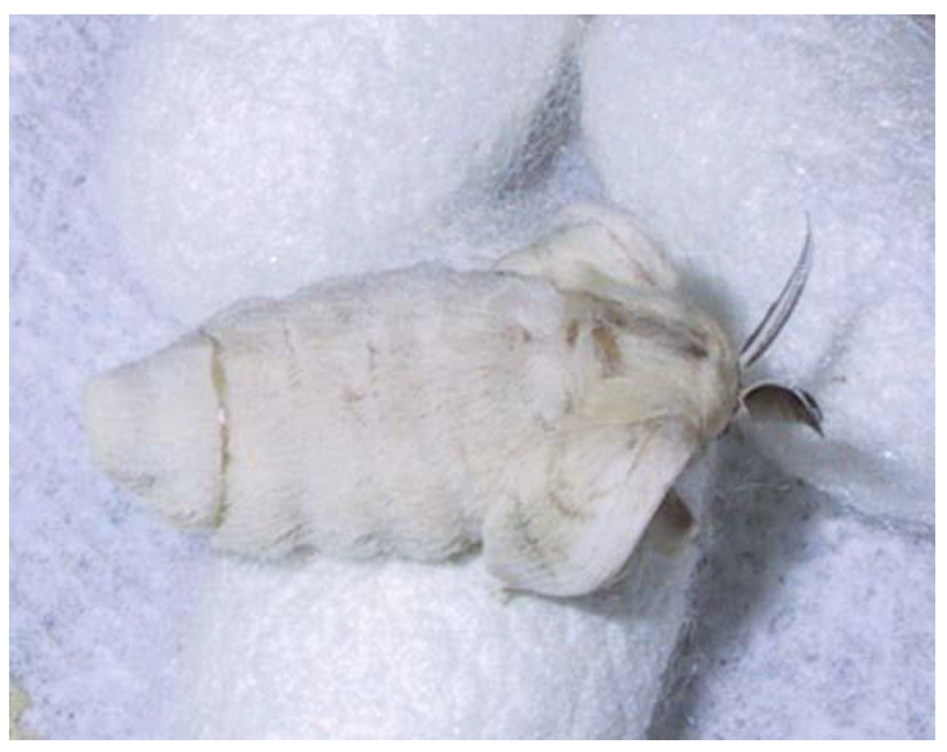 Literature 02 00019 g001