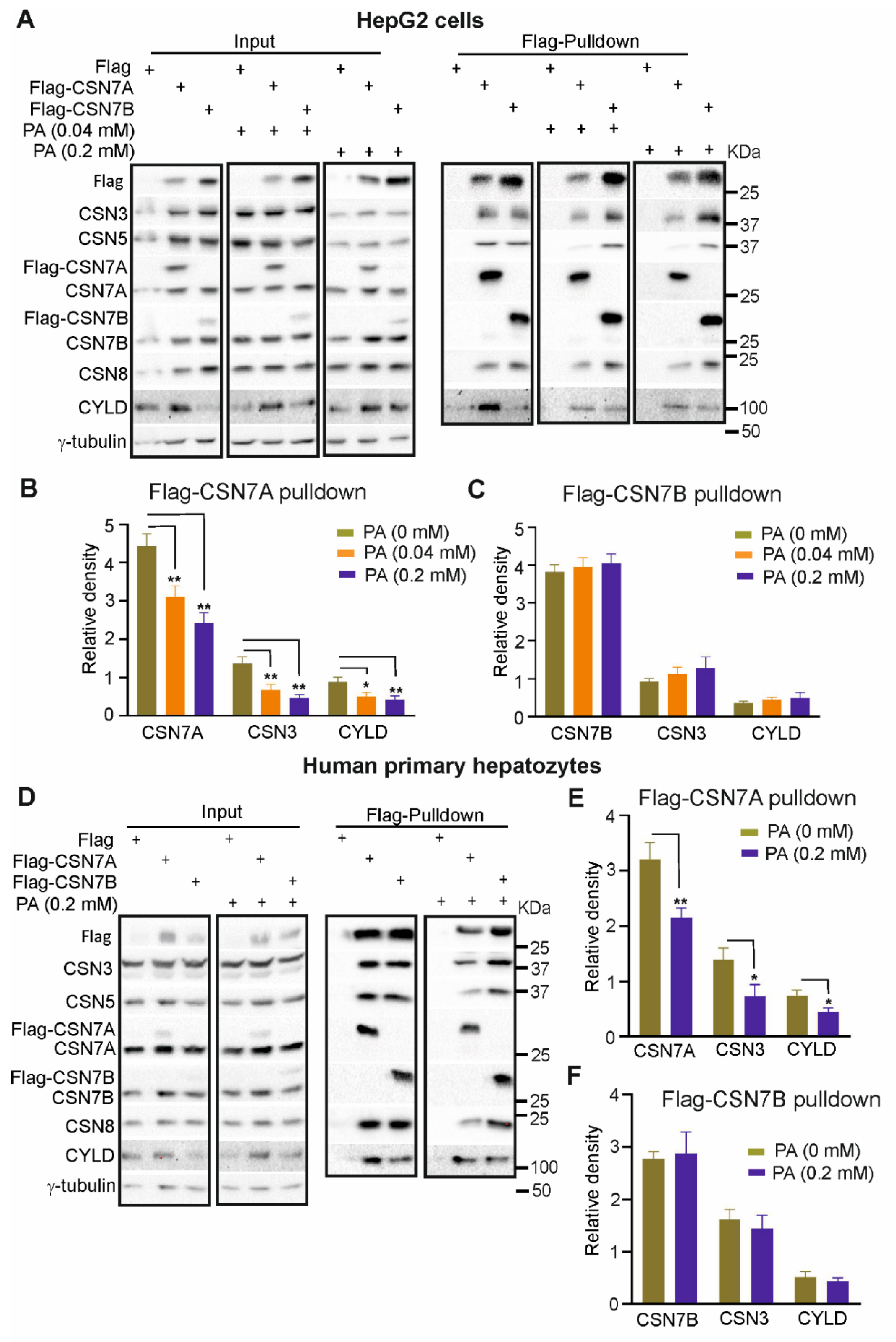 Livers 01 00011 g005