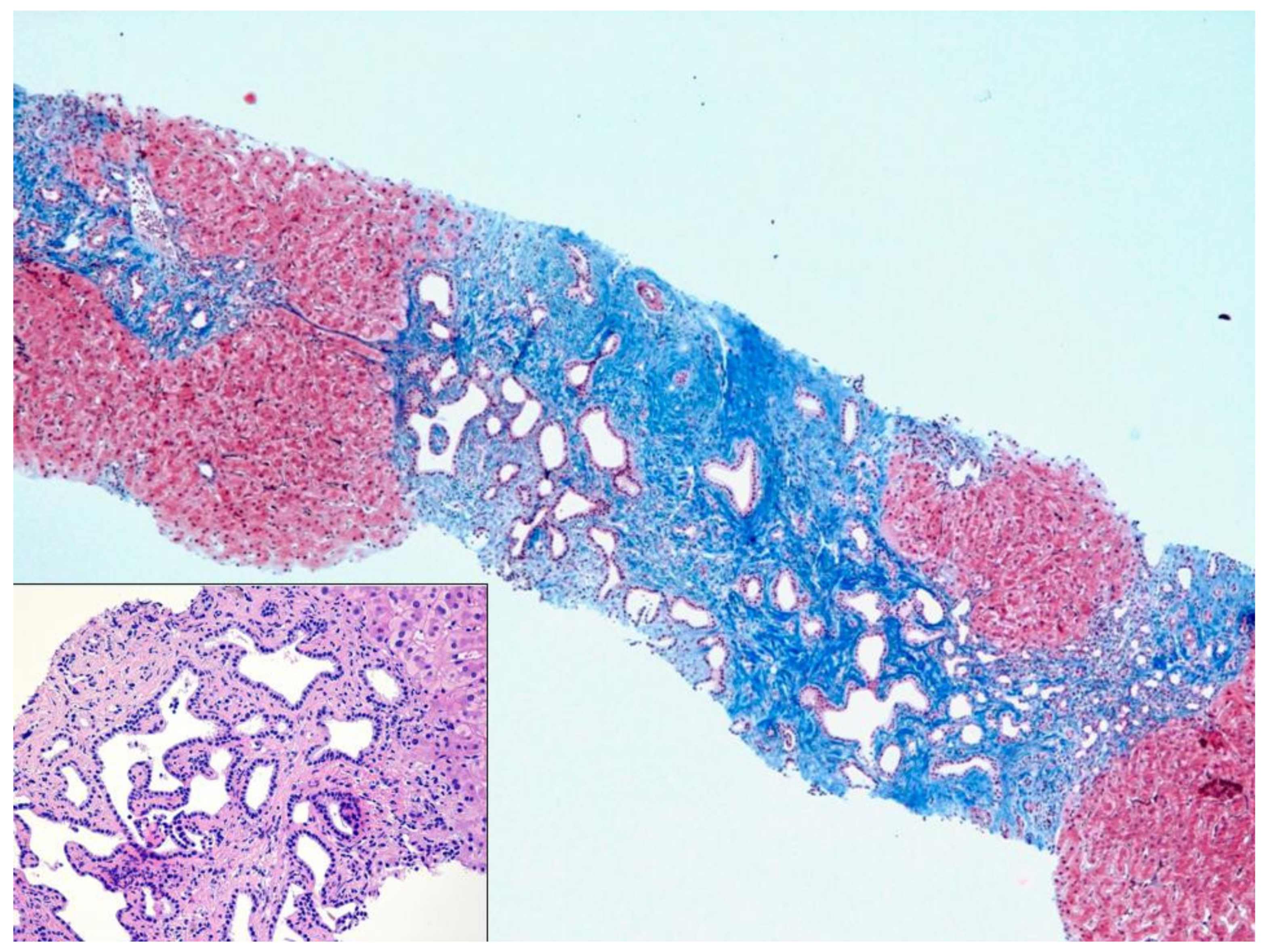 Livers 01 00012 g001 Livers 01 00012 g001