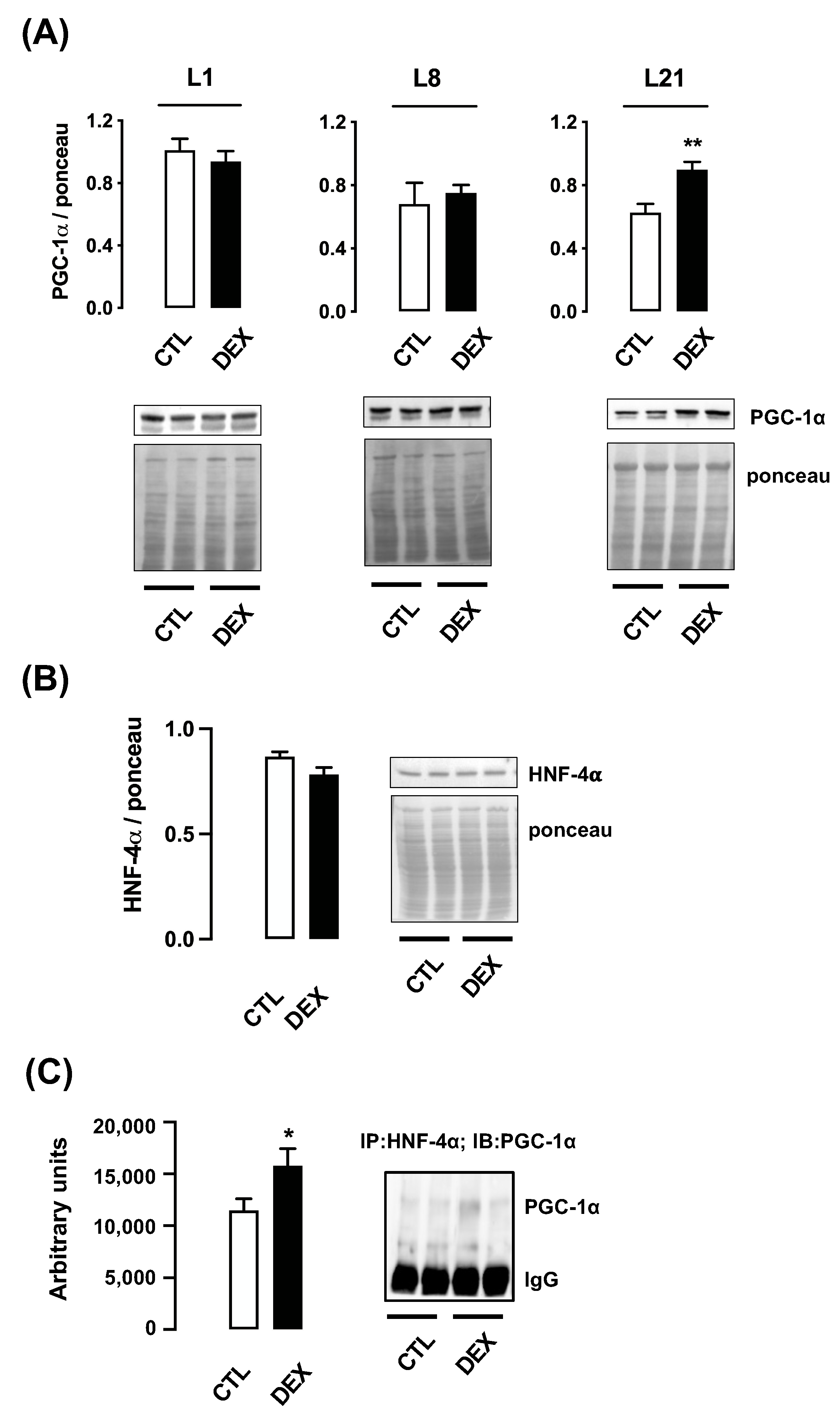 Livers 01 00016 g003