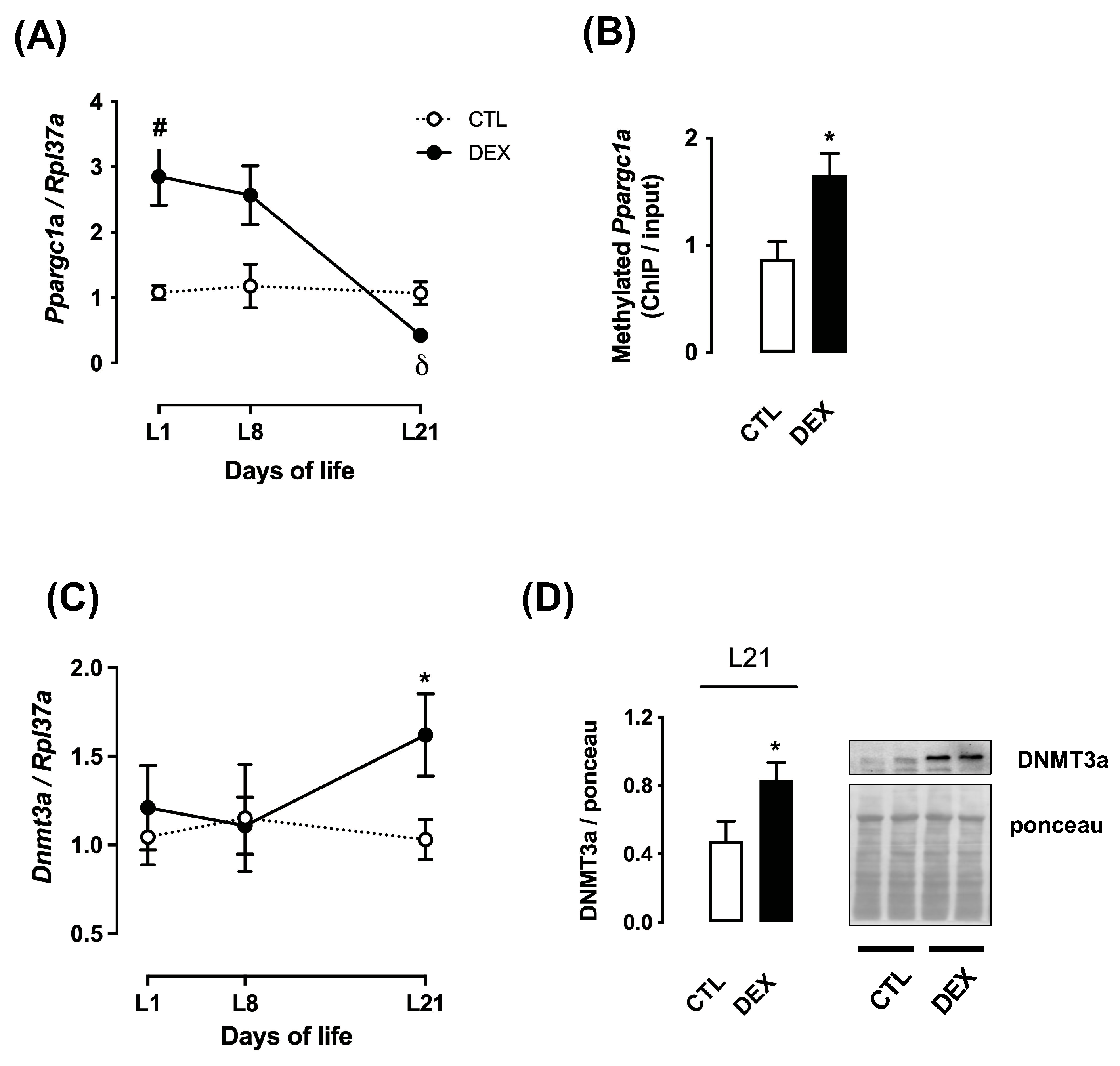 Livers 01 00016 g004