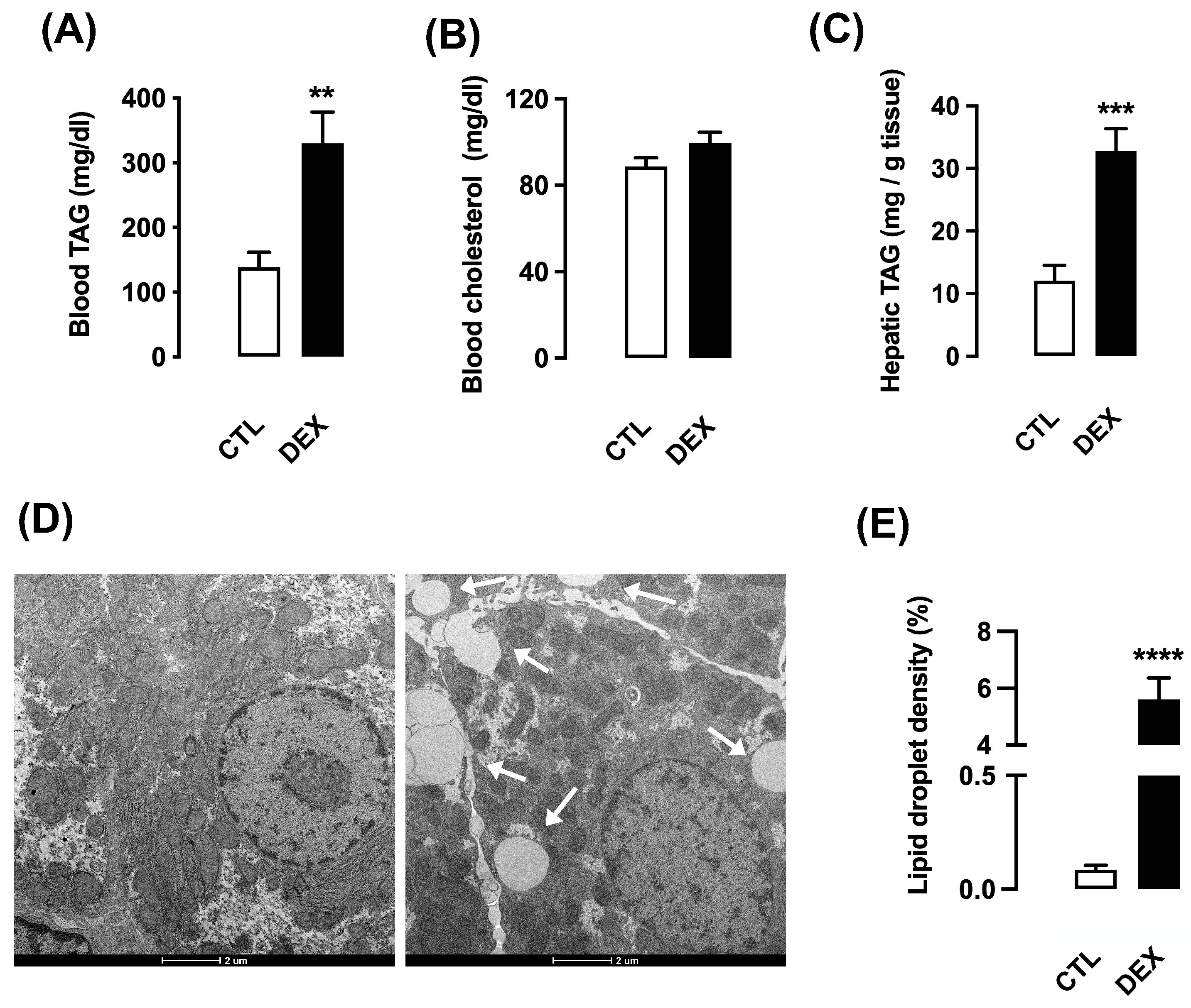 Livers 01 00016 g009