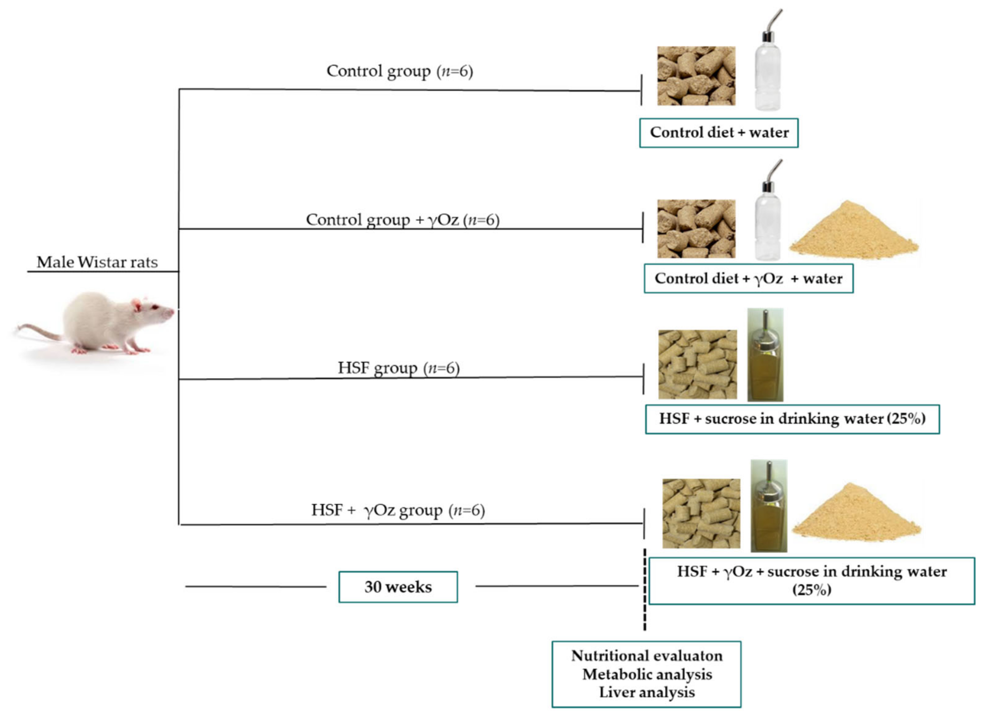 Livers 02 00013 g001