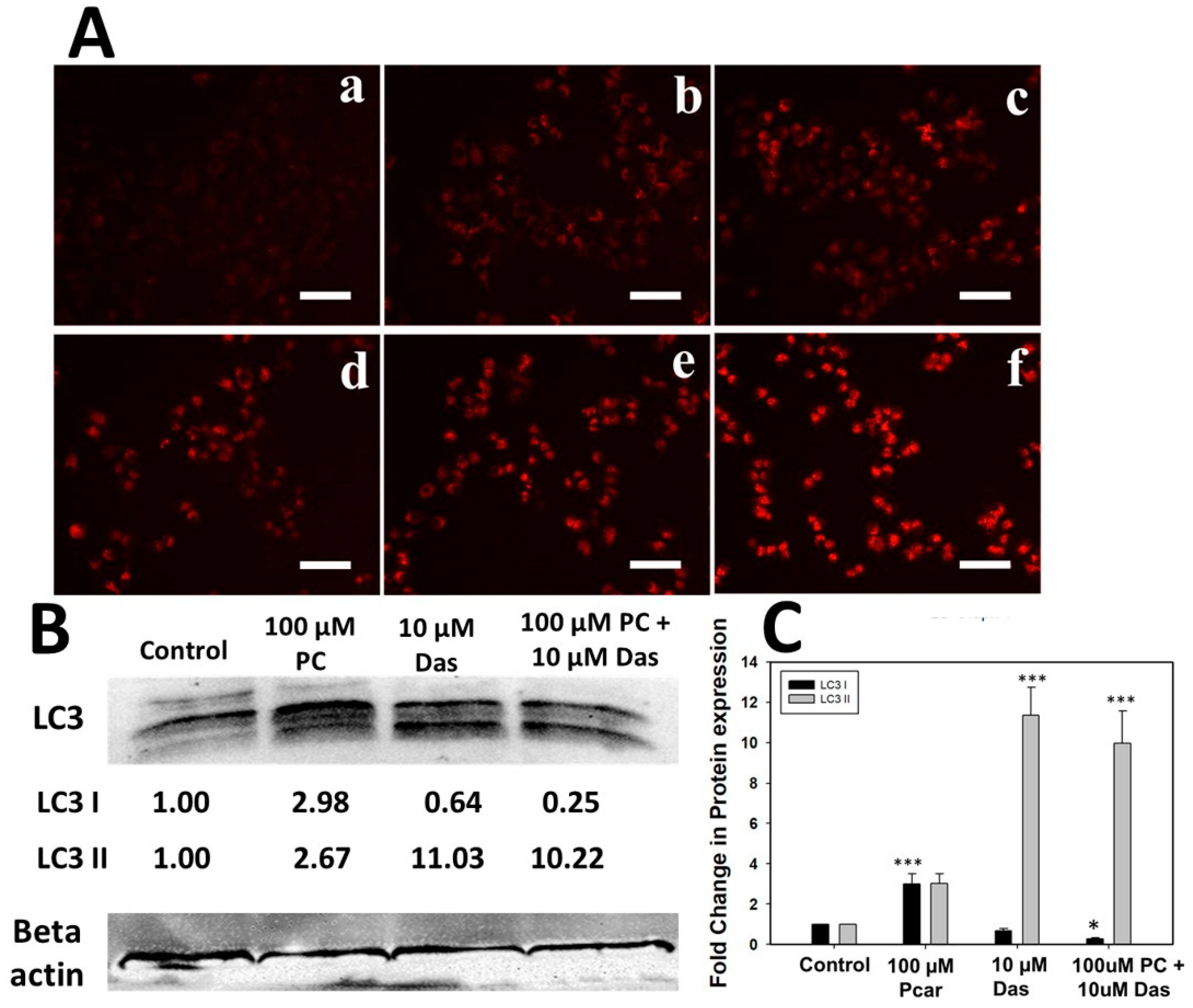 Livers 02 00026 g006