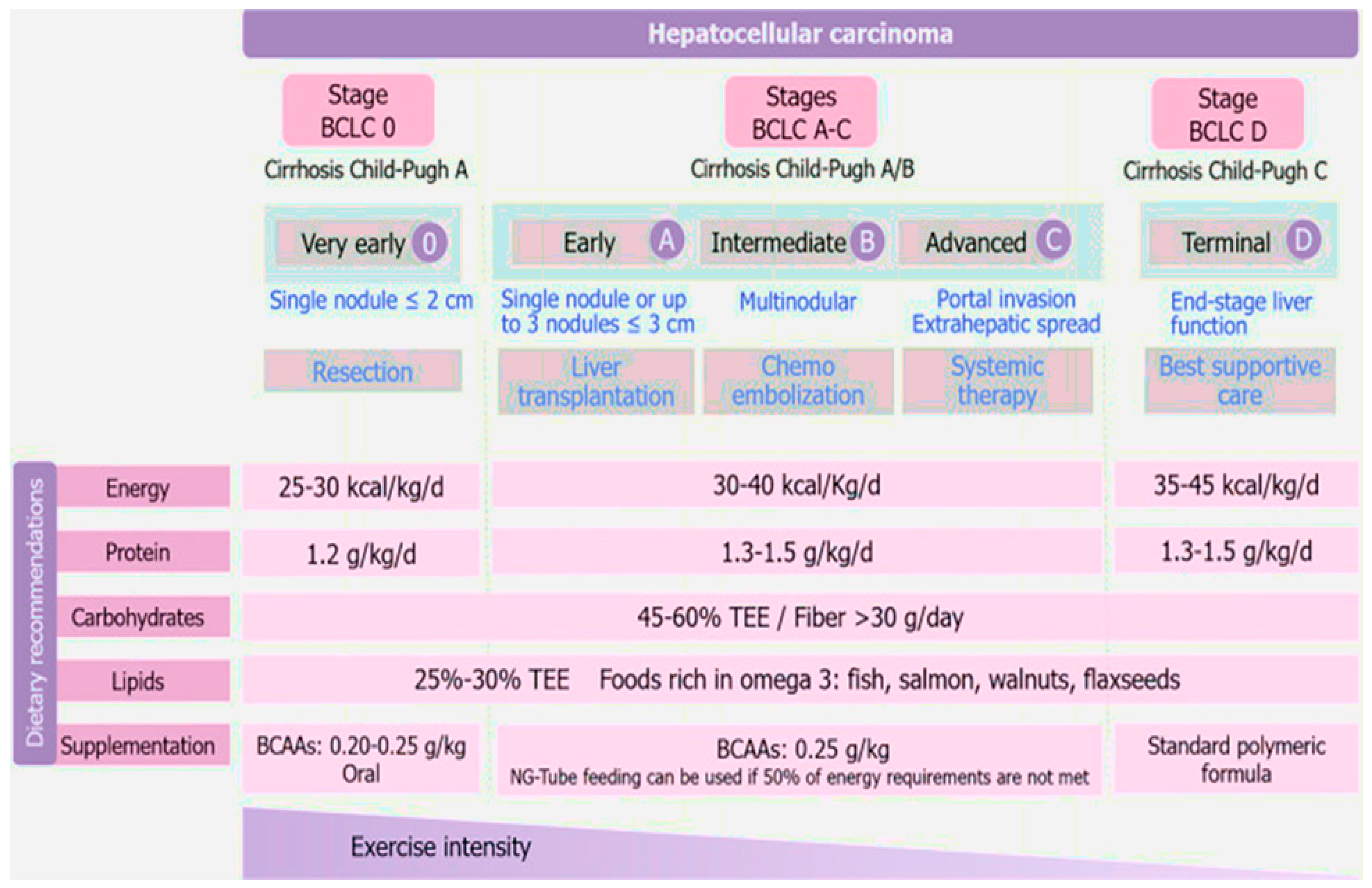 Livers 03 00013 g001