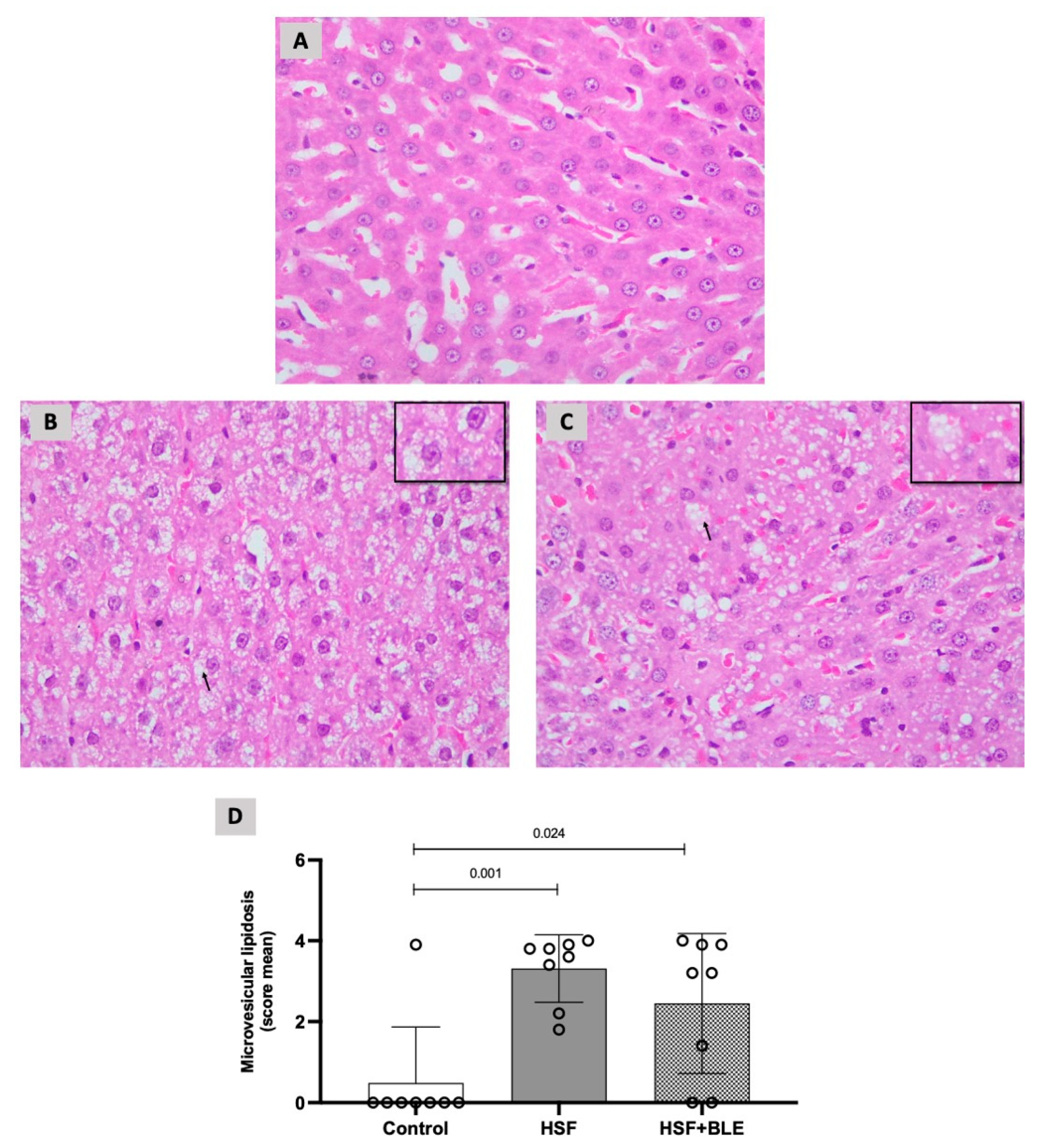 Livers 03 00017 g001