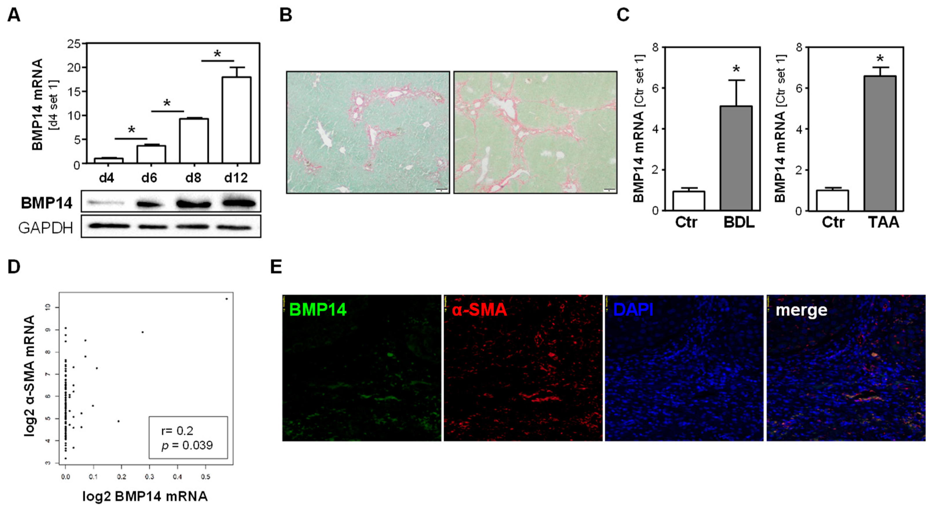 Livers 03 00019 g001