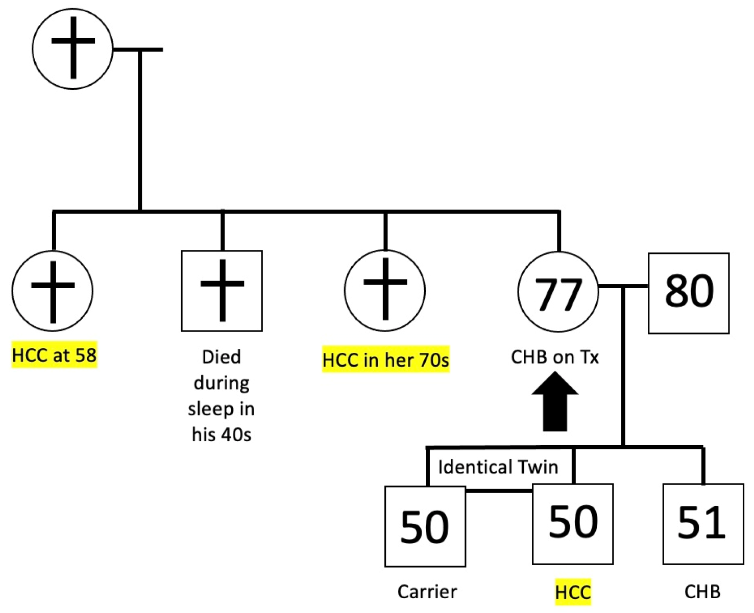 Livers 04 00003 g001