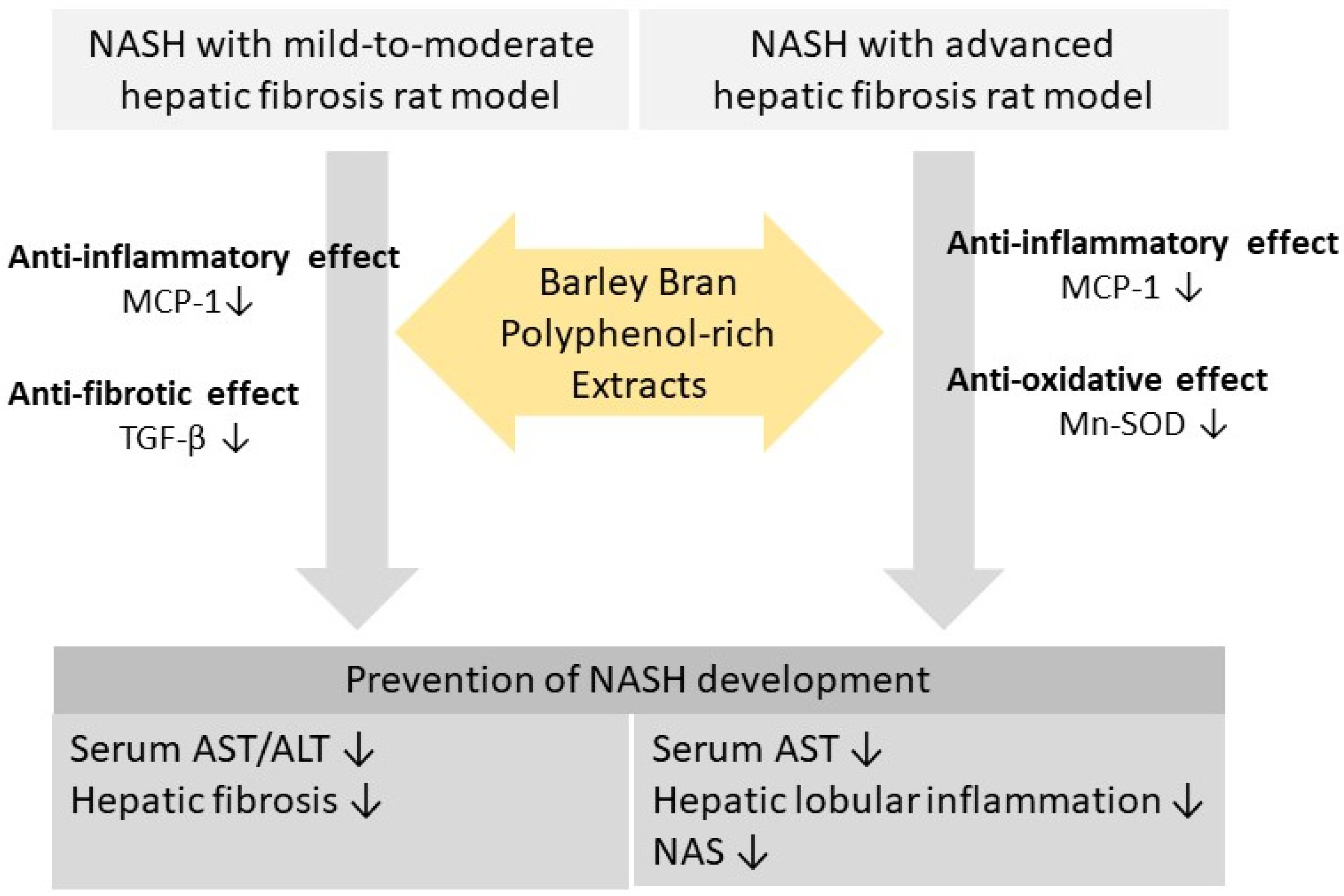 Livers 04 00015 g005