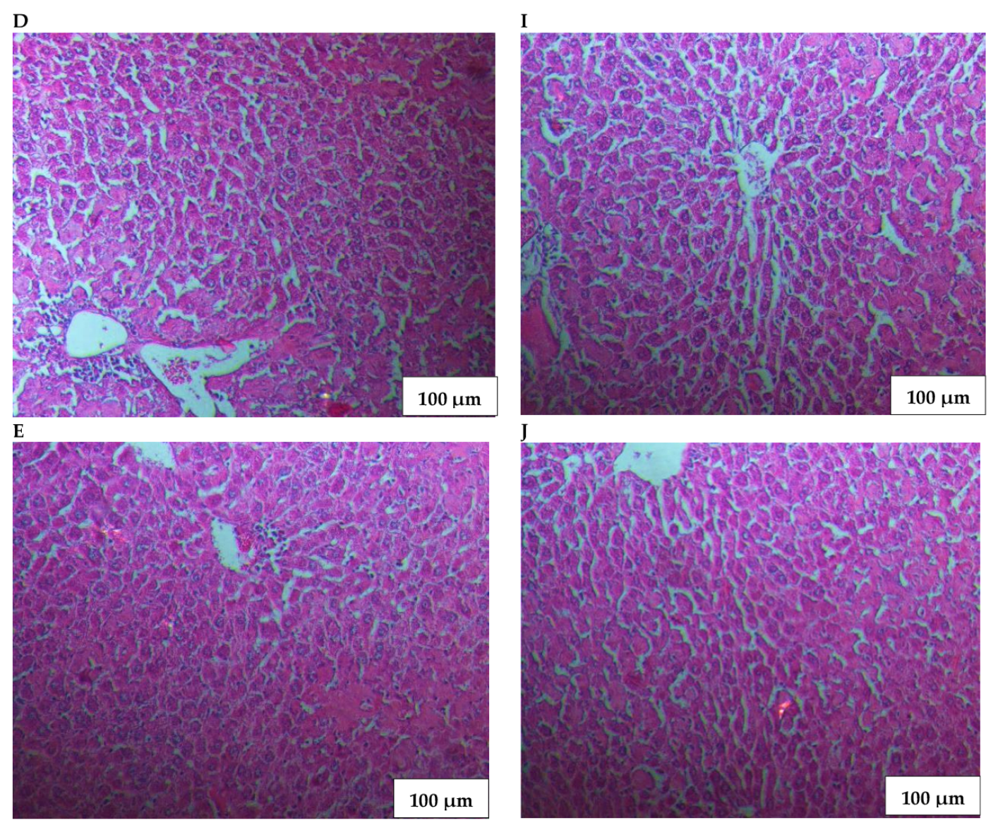 Livers 04 00048 g003b