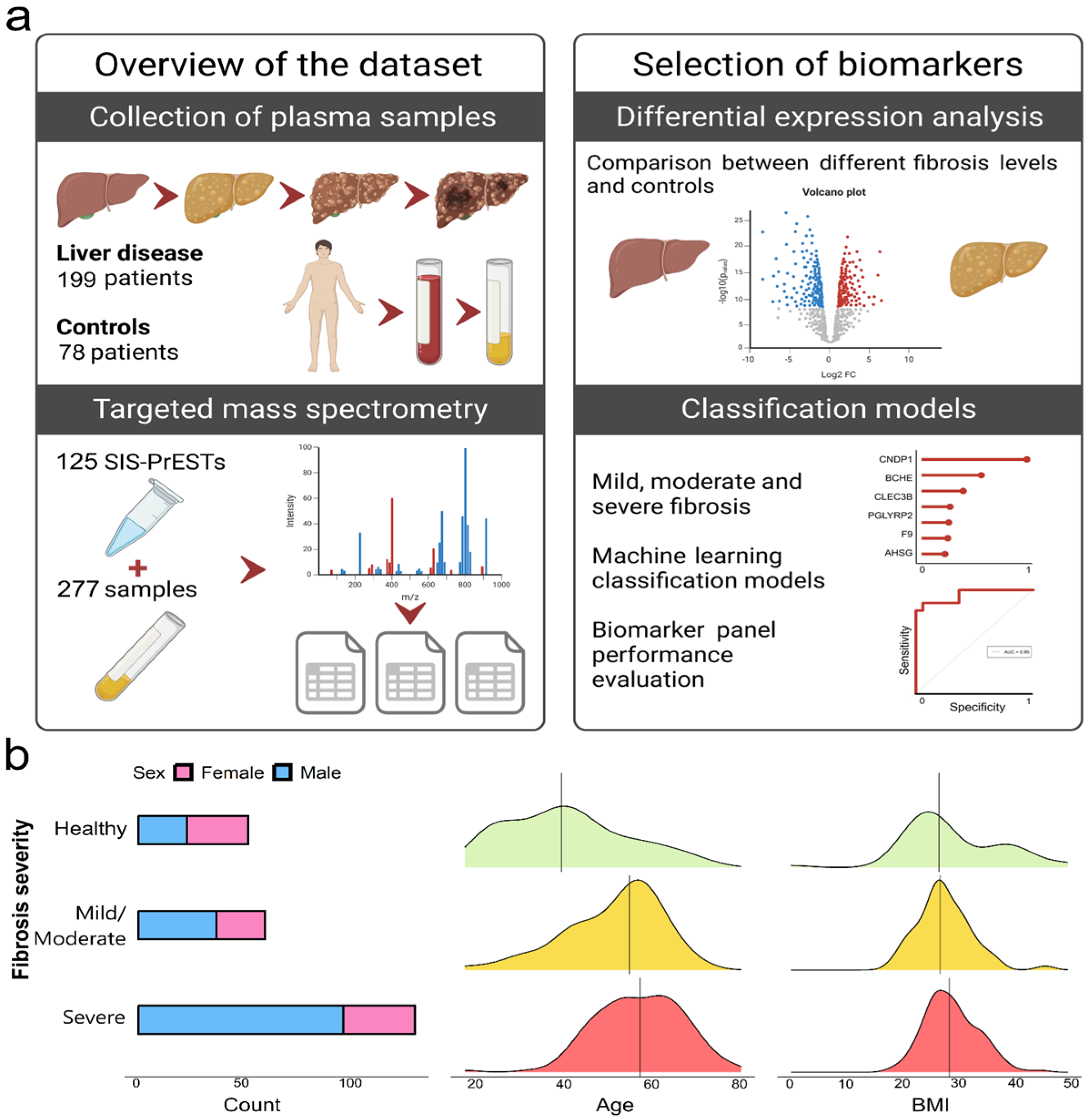 Livers 05 00002 g001