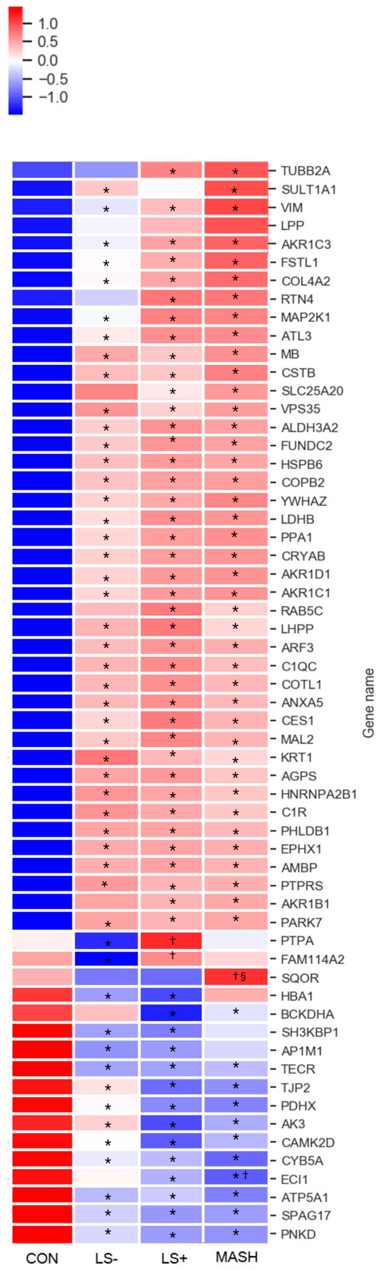 Livers 05 00016 g003