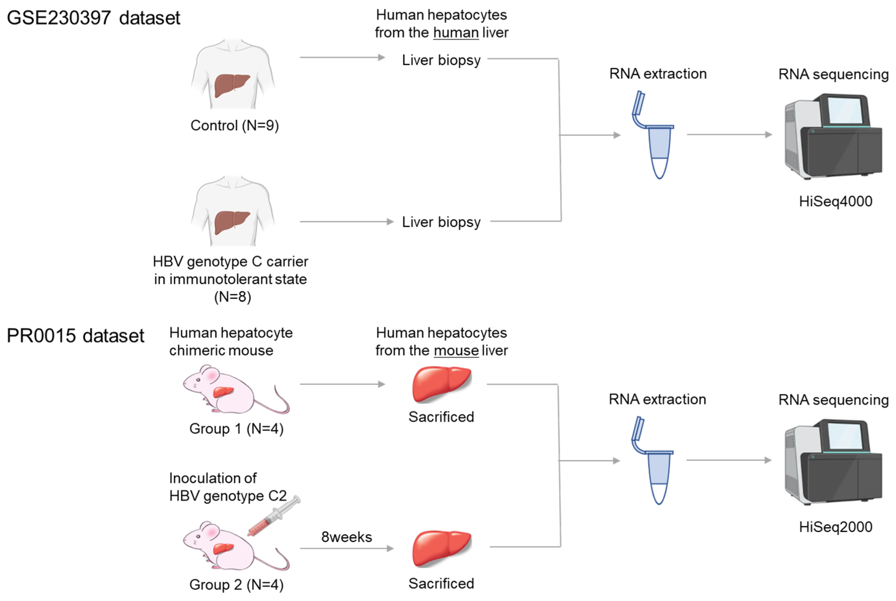 Livers 05 00018 g001 Livers 05 00018 g001