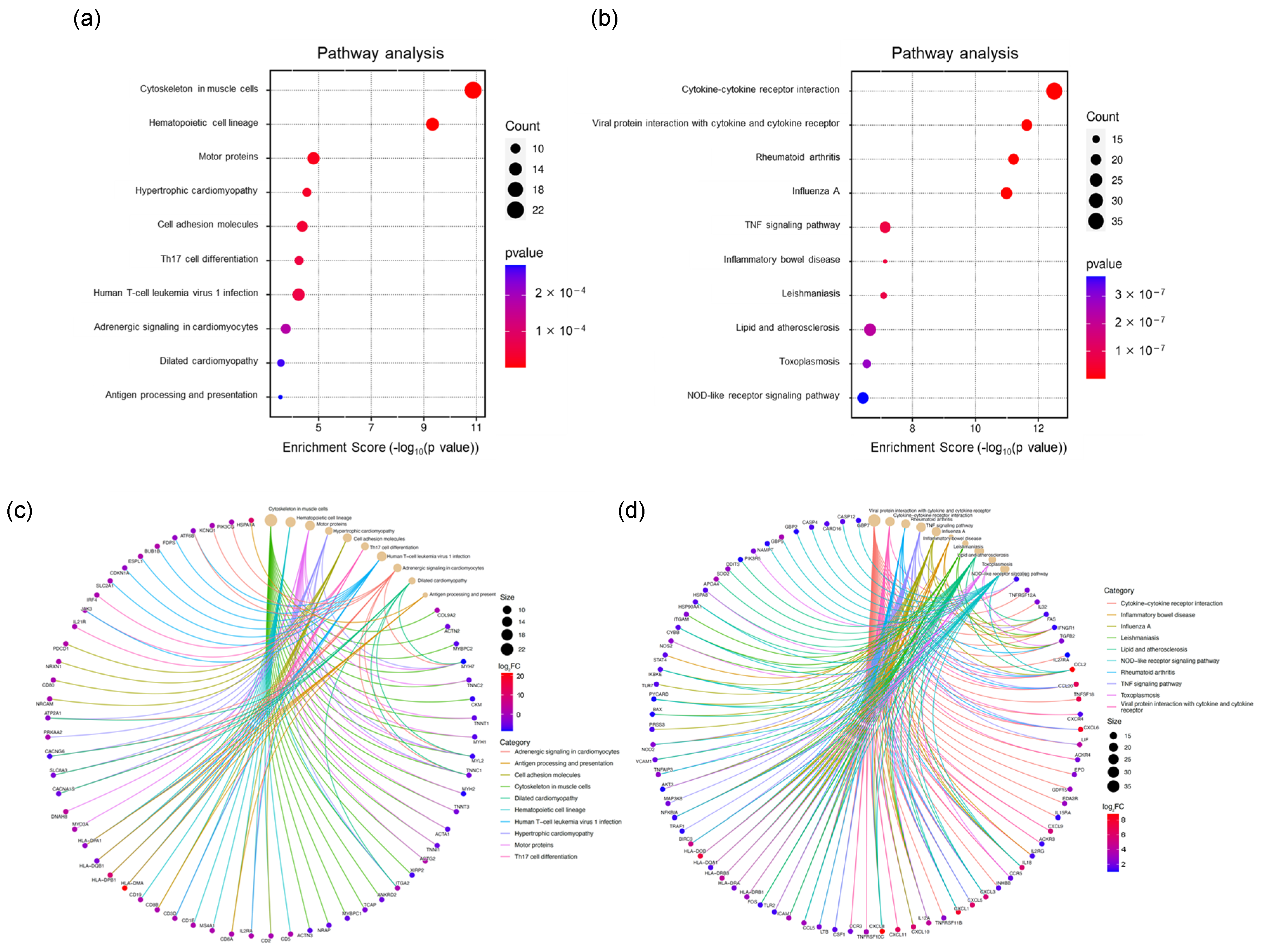 Livers 05 00018 g003 Livers 05 00018 g003