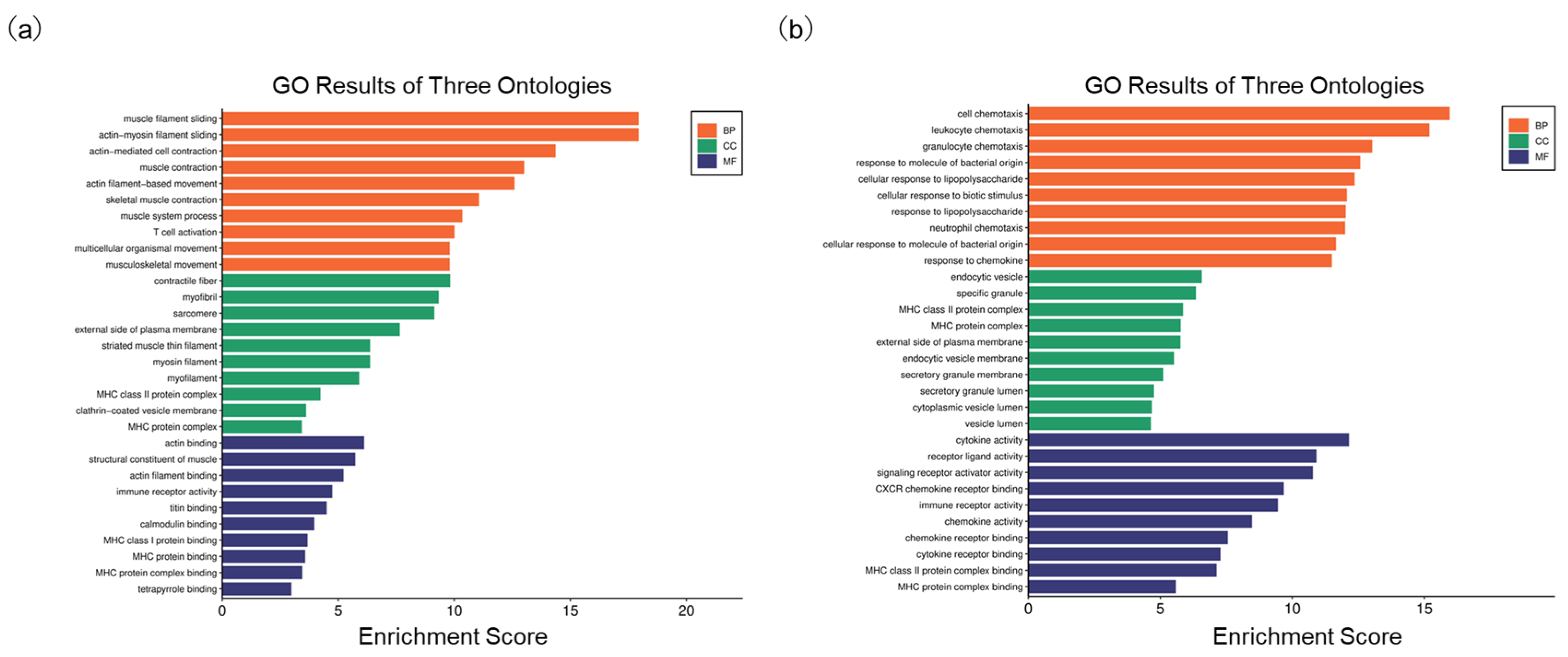 Livers 05 00018 g004 Livers 05 00018 g004