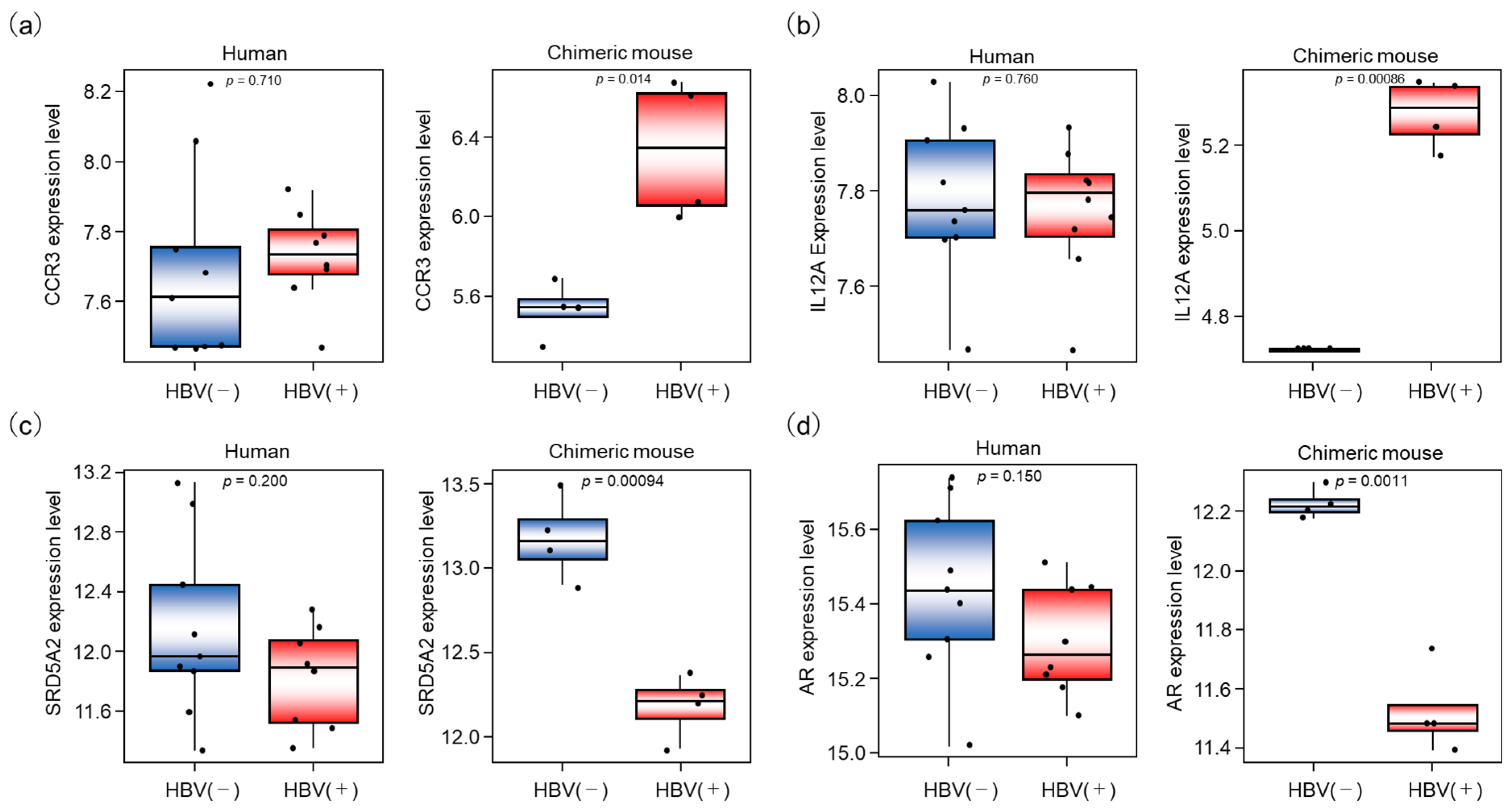 Livers 05 00018 g006 Livers 05 00018 g006