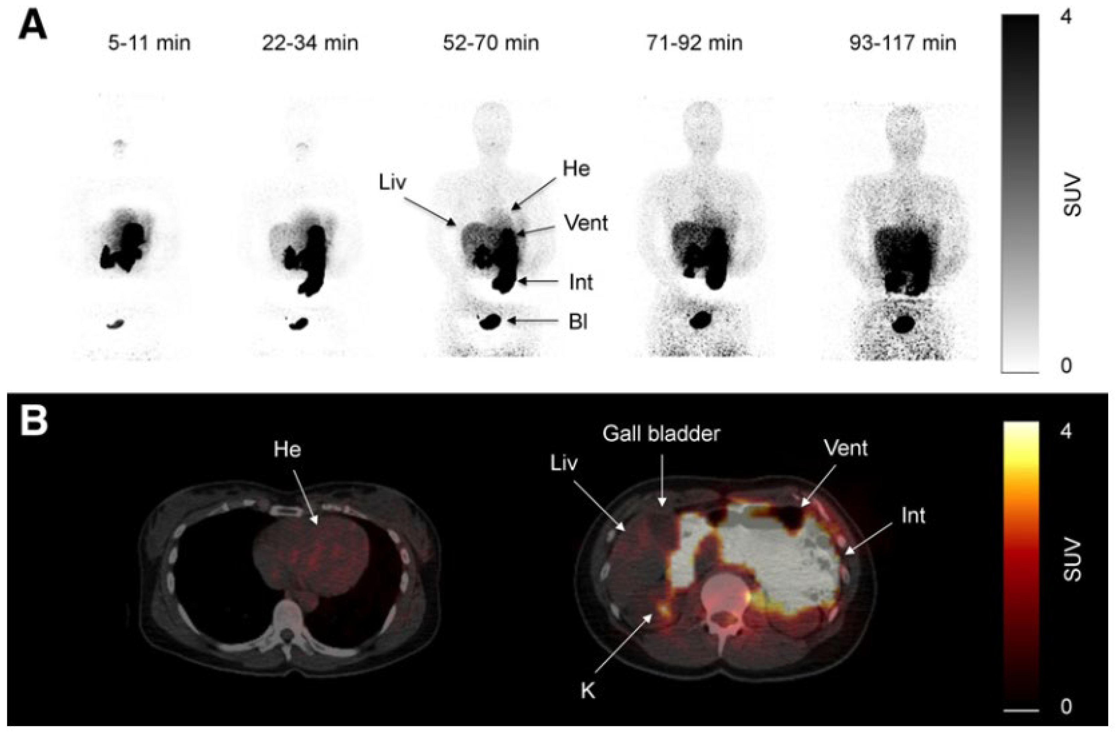 Livers 05 00035 g001