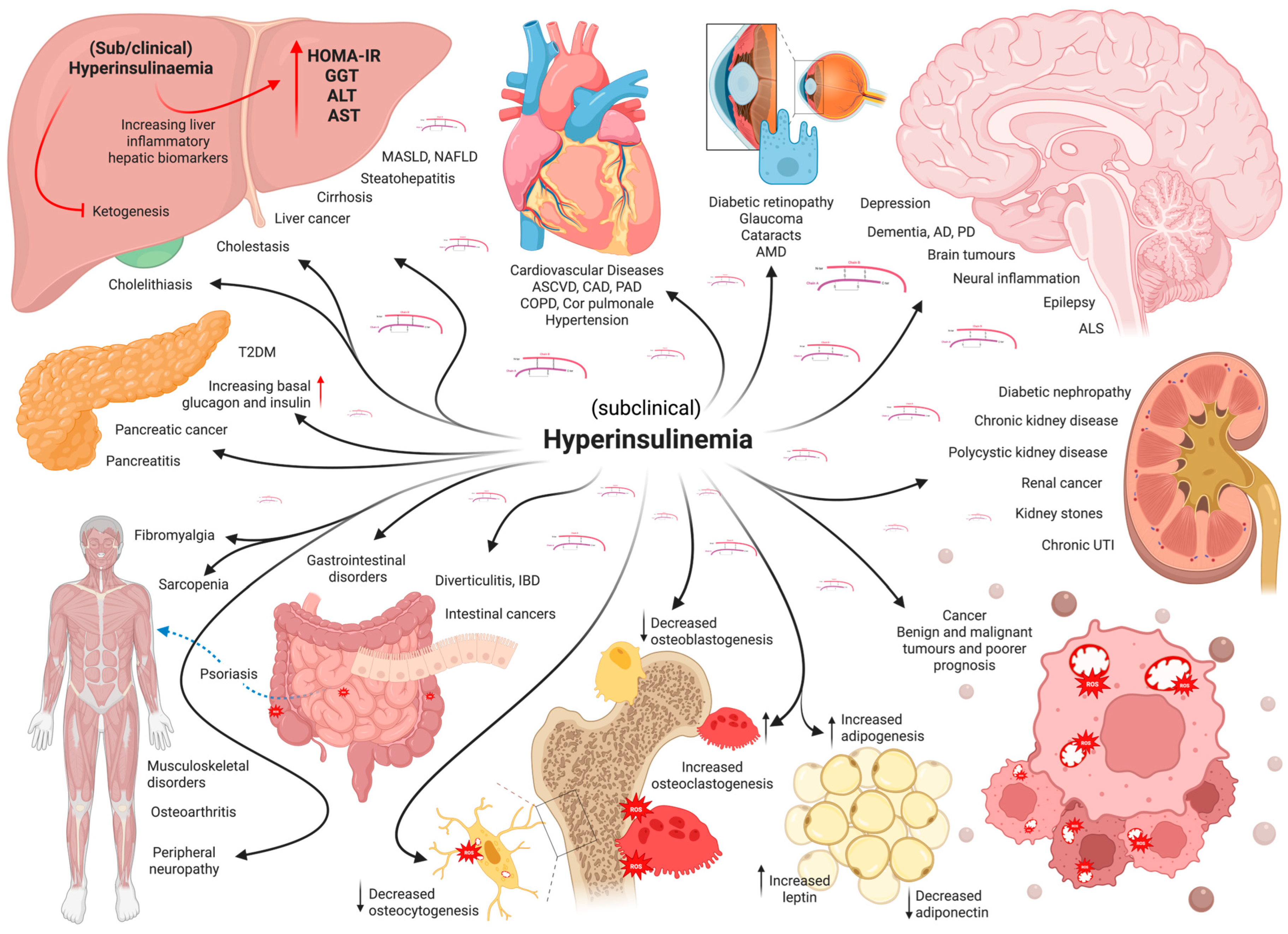 Livers 05 00041 g016