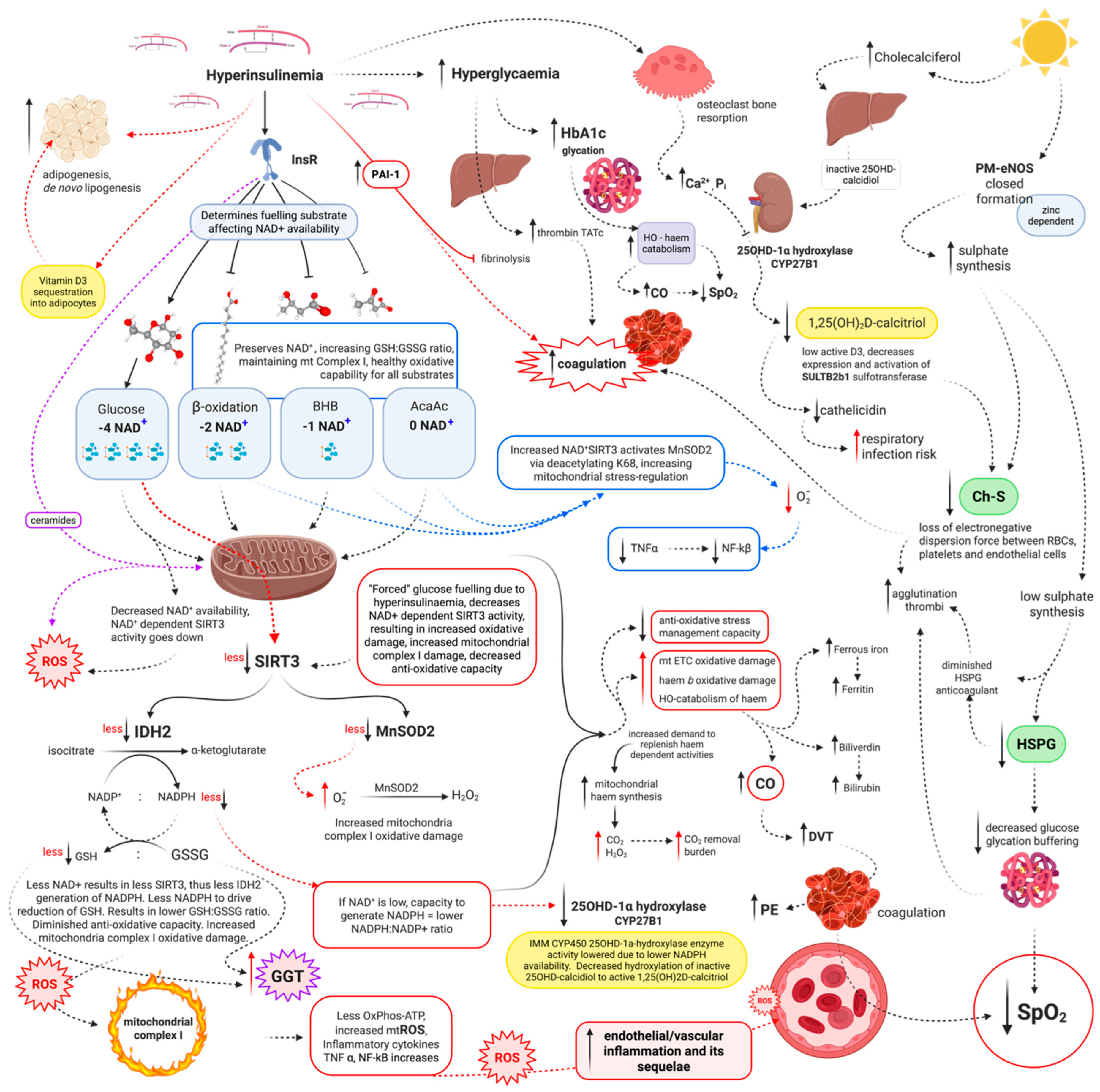 Livers 05 00041 g017