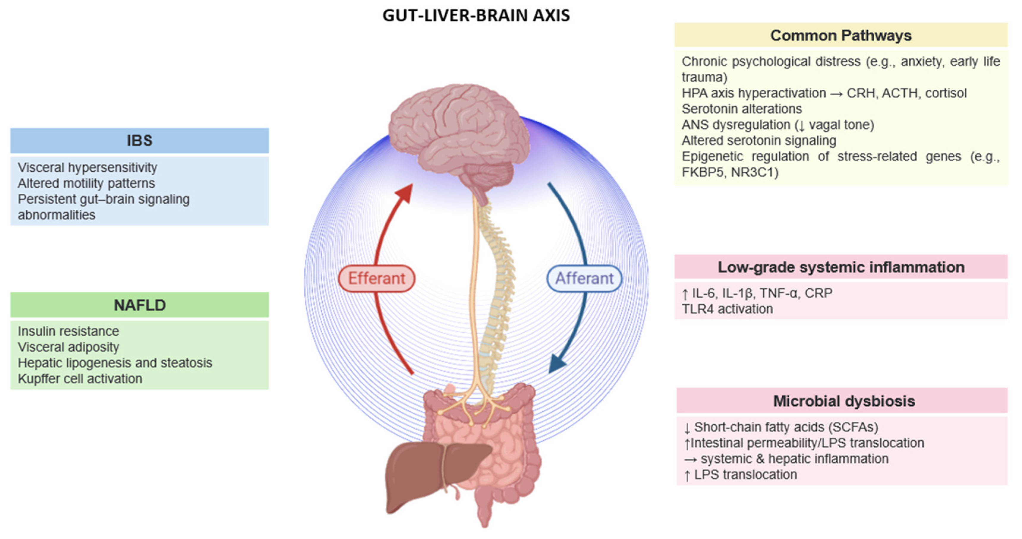 Livers 05 00043 g001 Livers 05 00043 g001