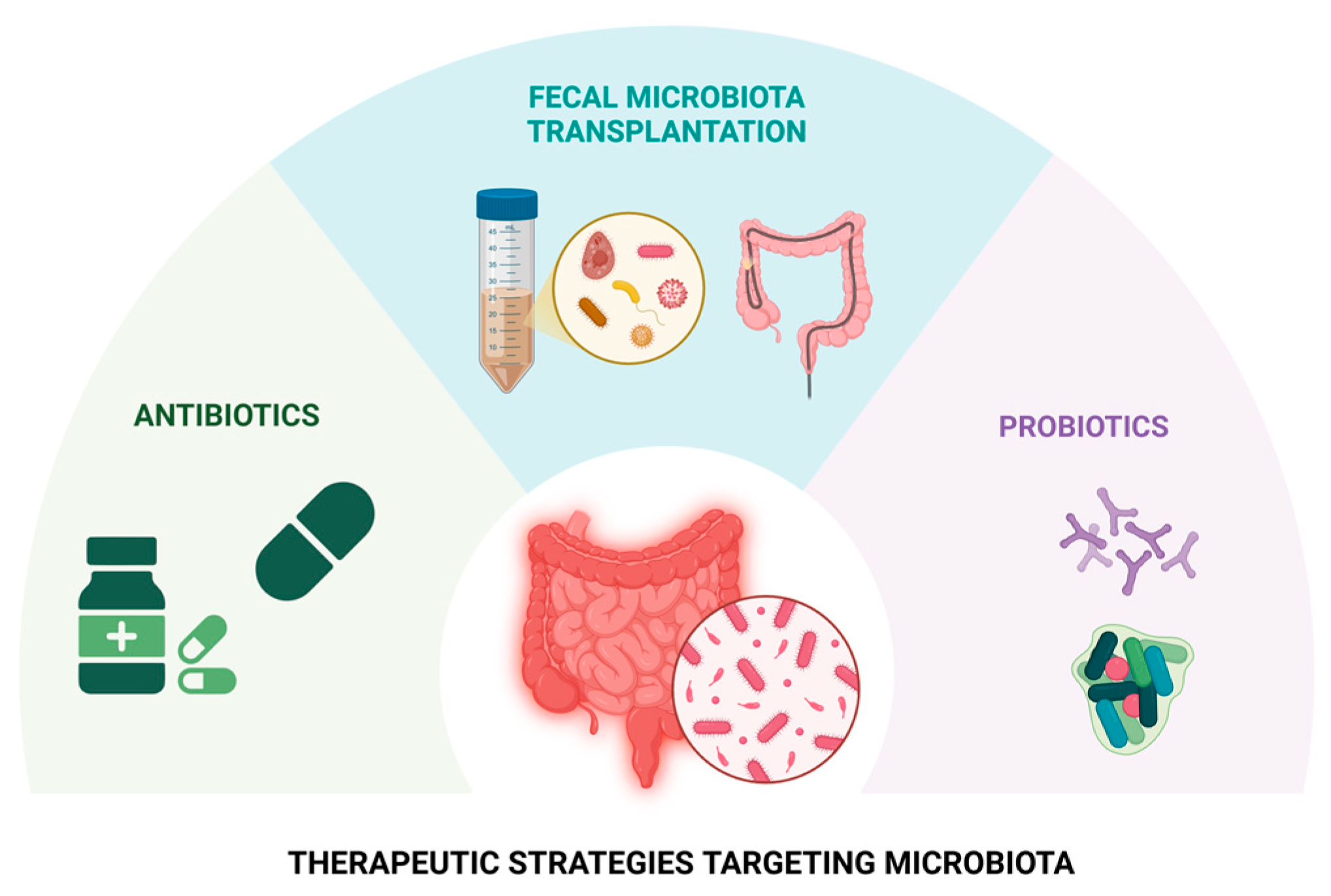 Livers 06 00004 g002 Livers 06 00004 g002