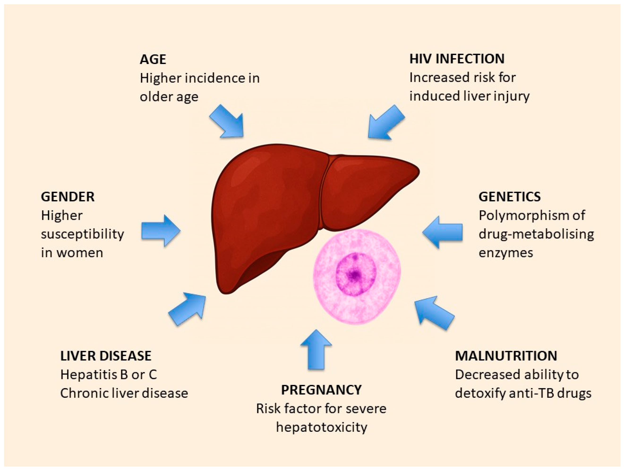Livers 06 00019 g001 Livers 06 00019 g001