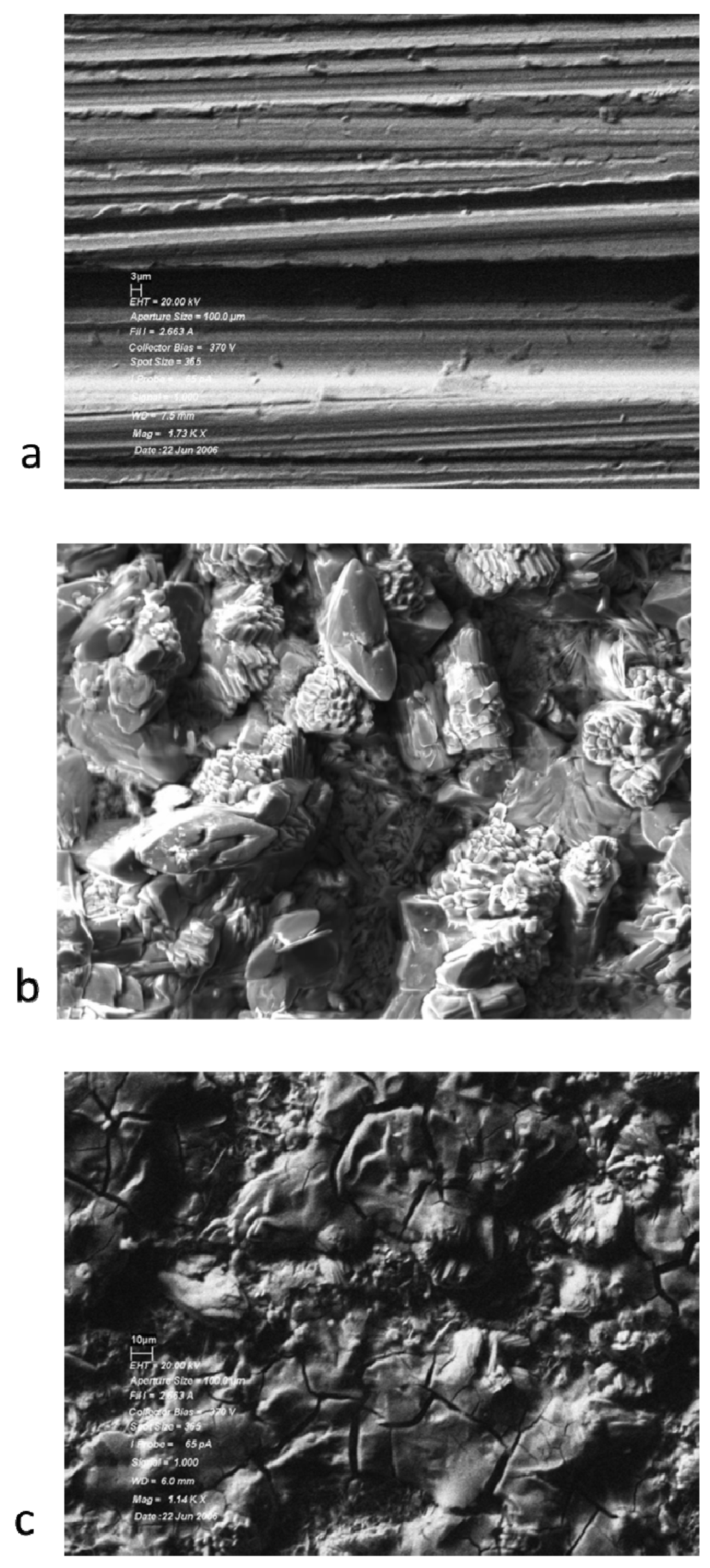Lubricants 01 00048 g002 1024