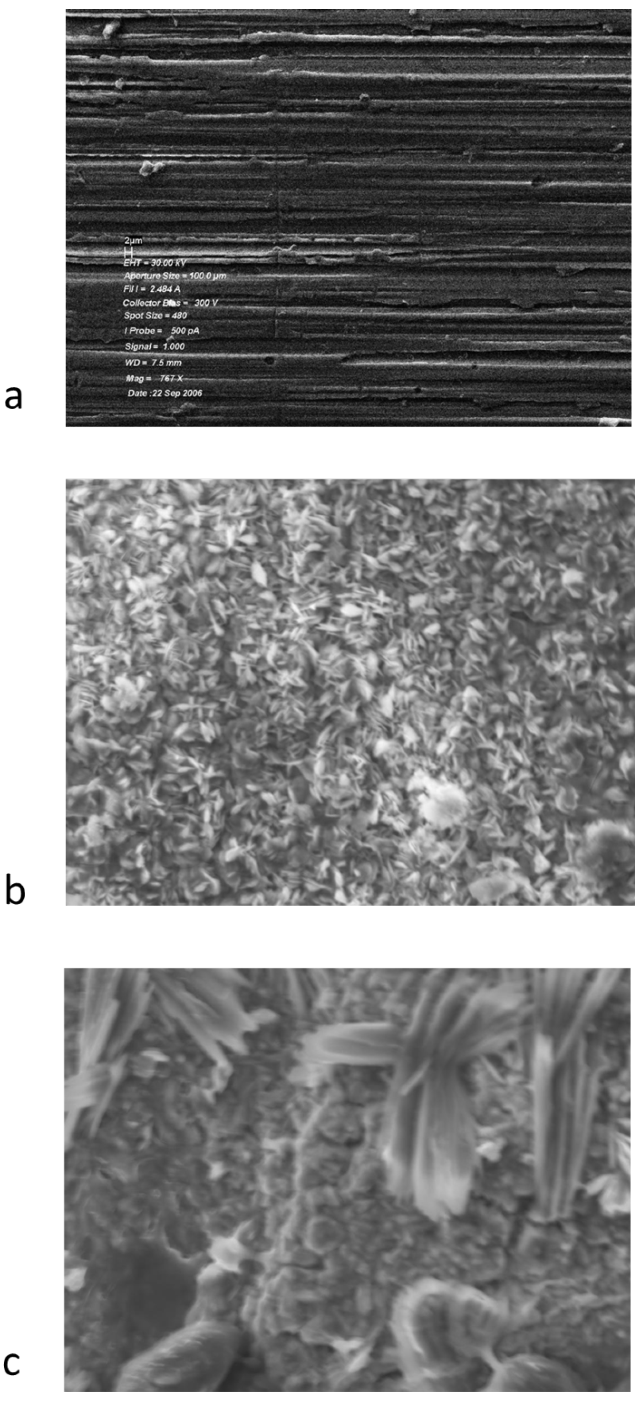 Lubricants 01 00048 g004