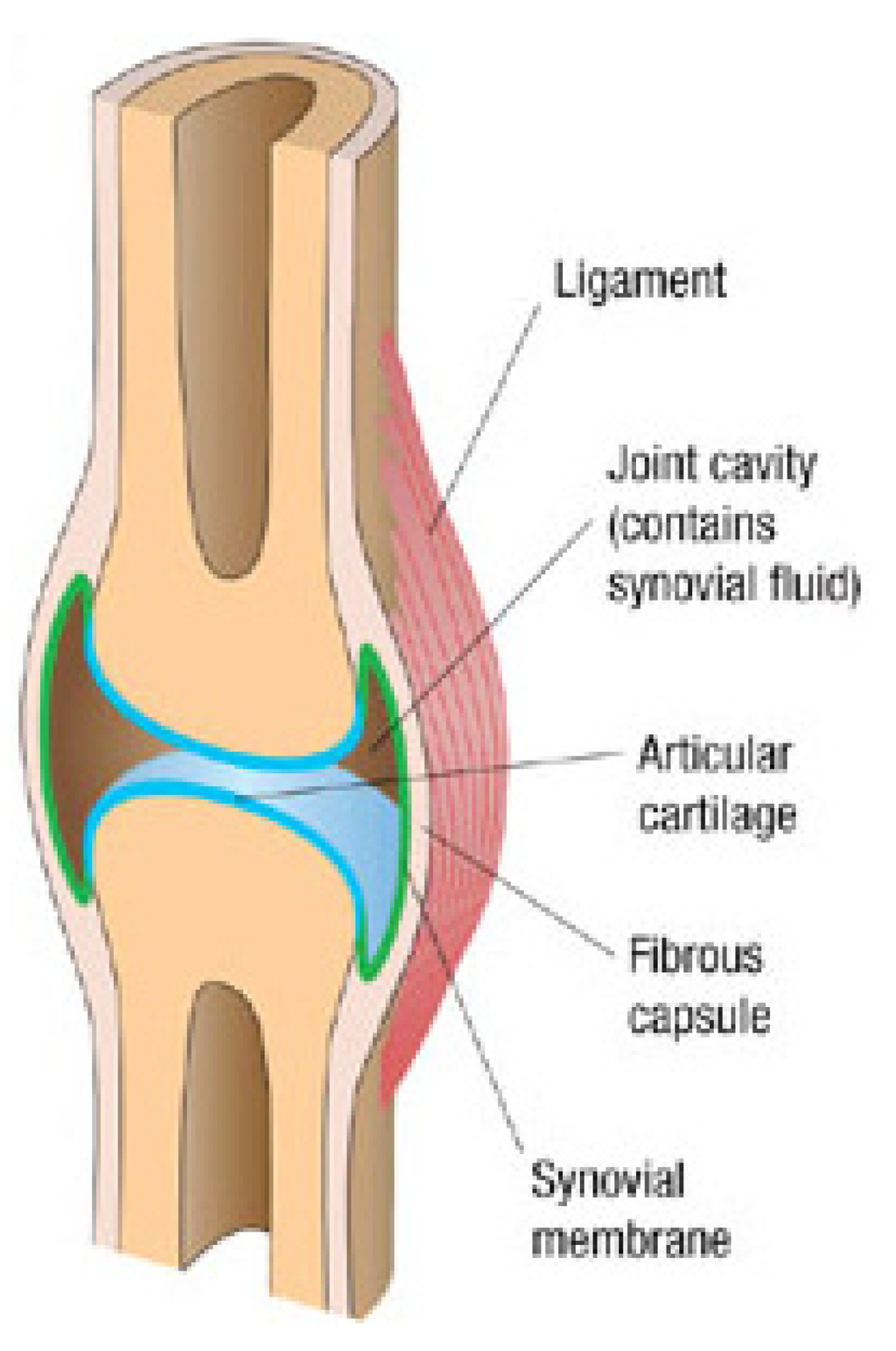 Lubricants 01 00102 g003 1024