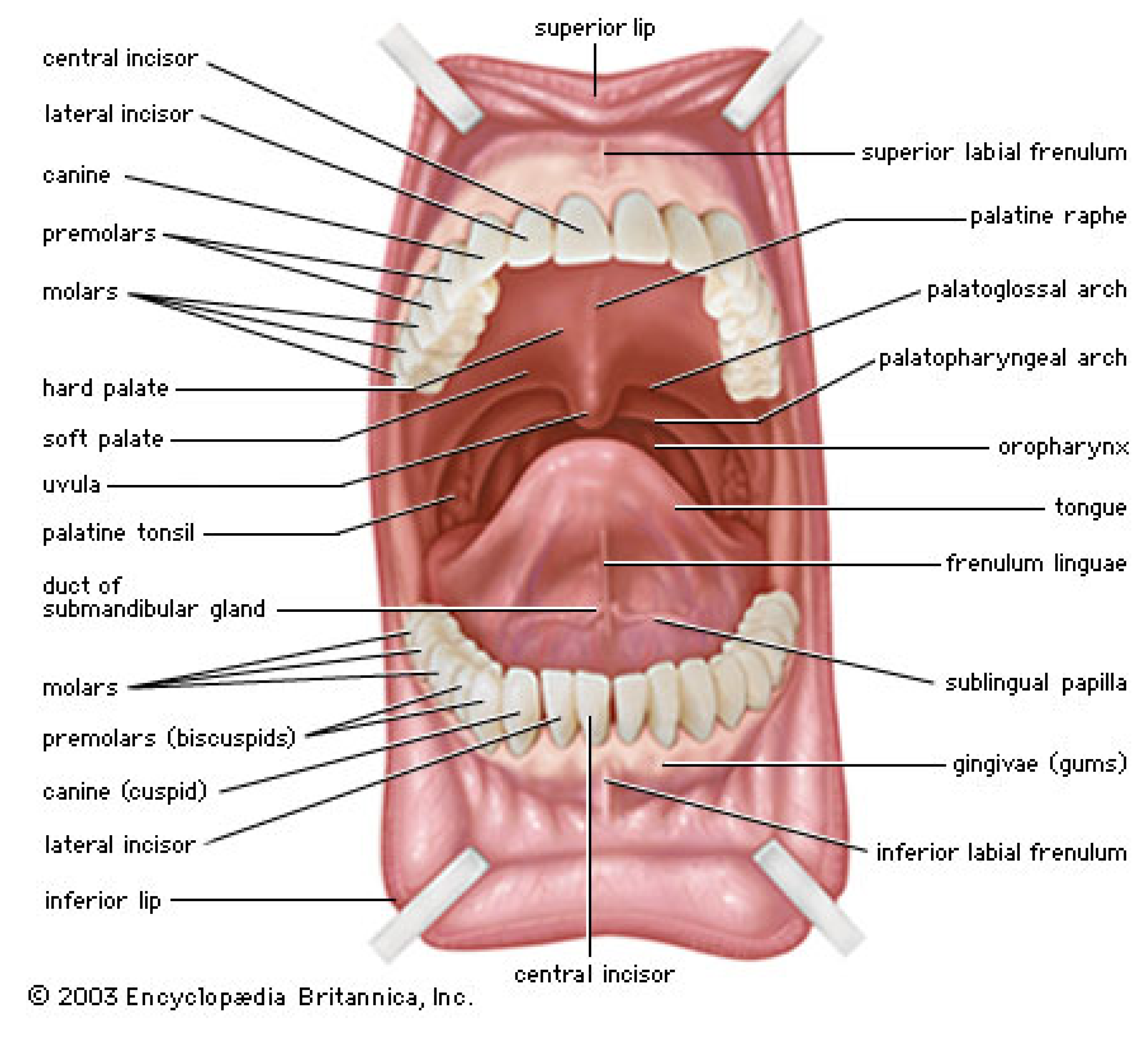 Lubricants 01 00102 g005