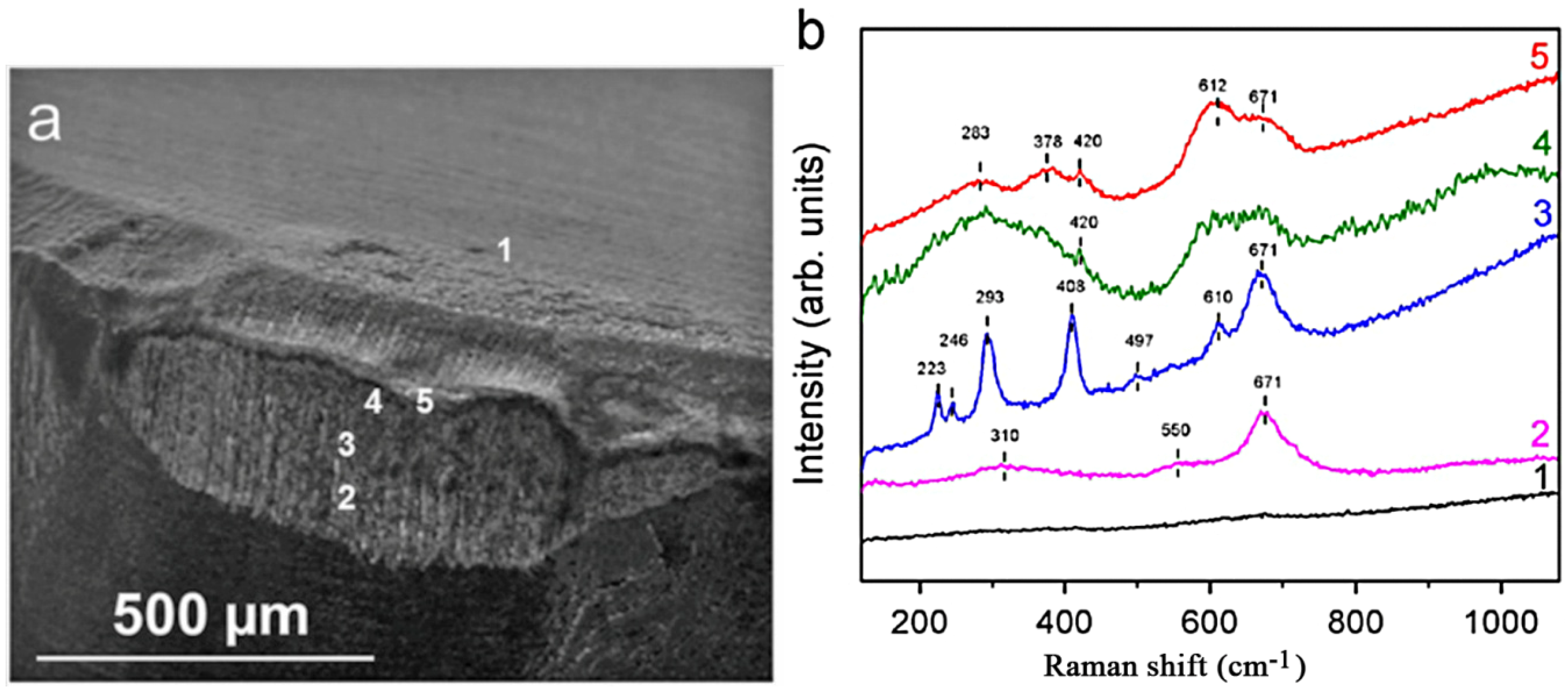 Lubricants 02 00113 g002