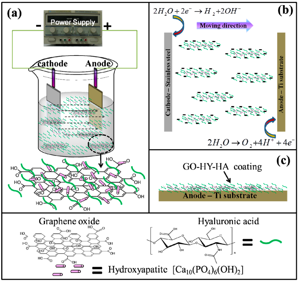 Lubricants 02 00137 g007 1024