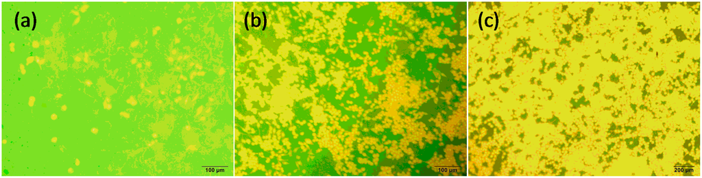 Lubricants 02 00137 g008 1024